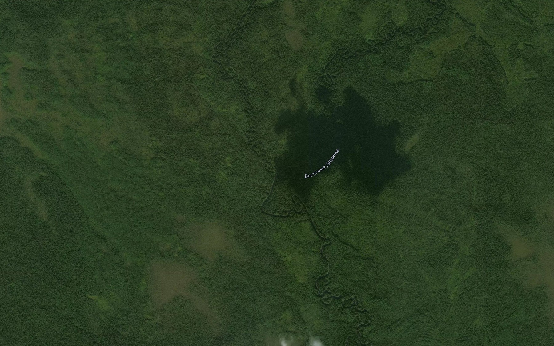Satellite map of the Zapadnaya Lyavdinka
