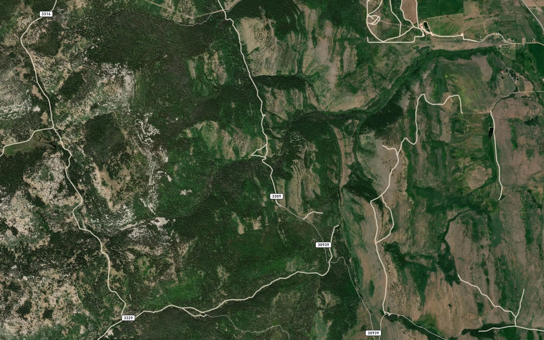Satellite map of the Willow Patch Spring