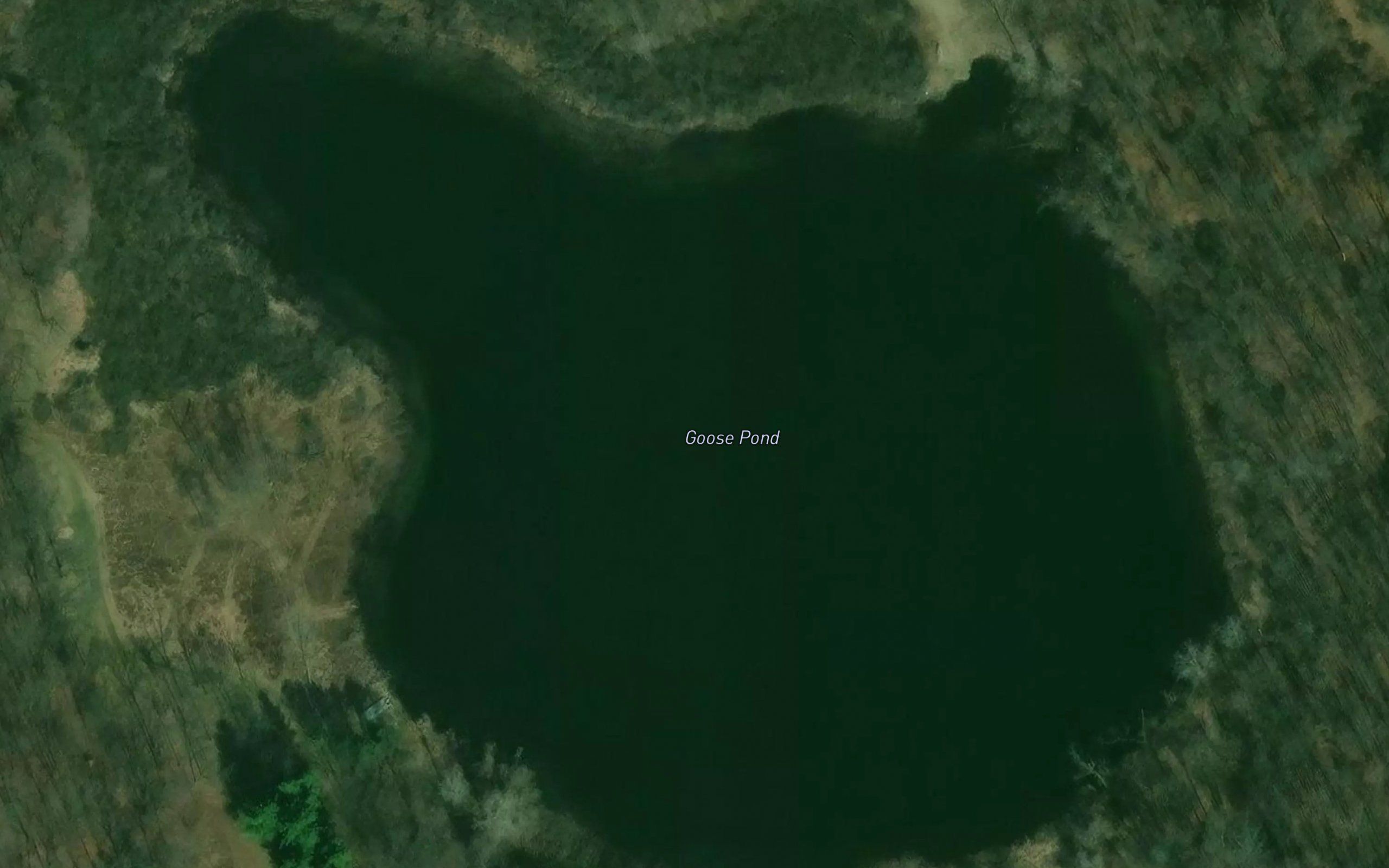 Goose Pond