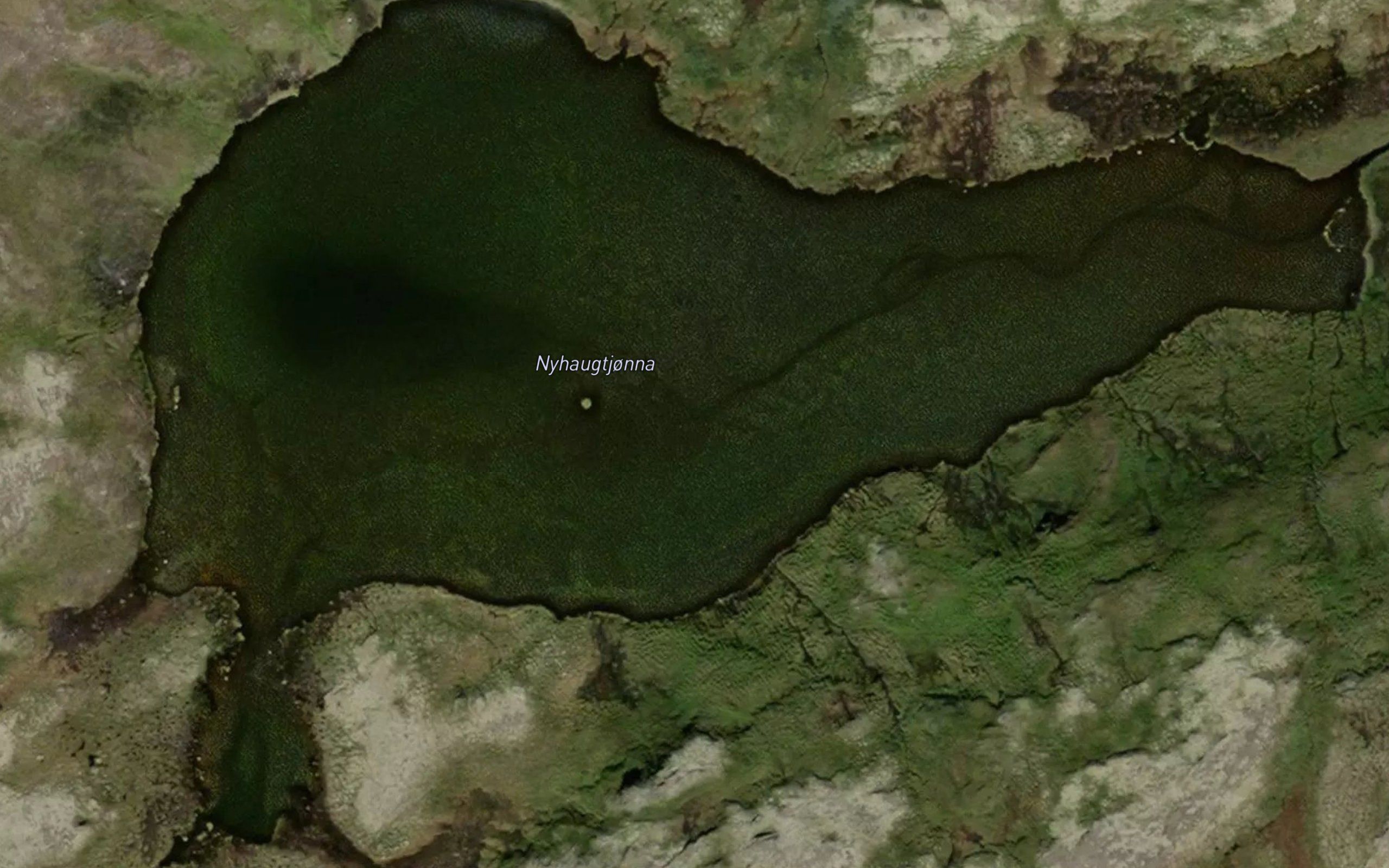 Nyhaugtjonna