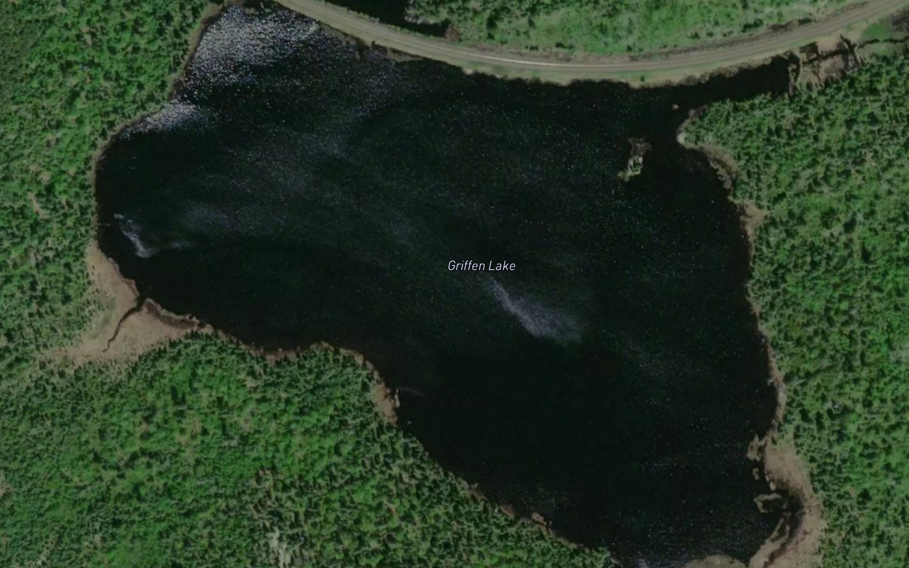 Satellite map of the Griffen Lake