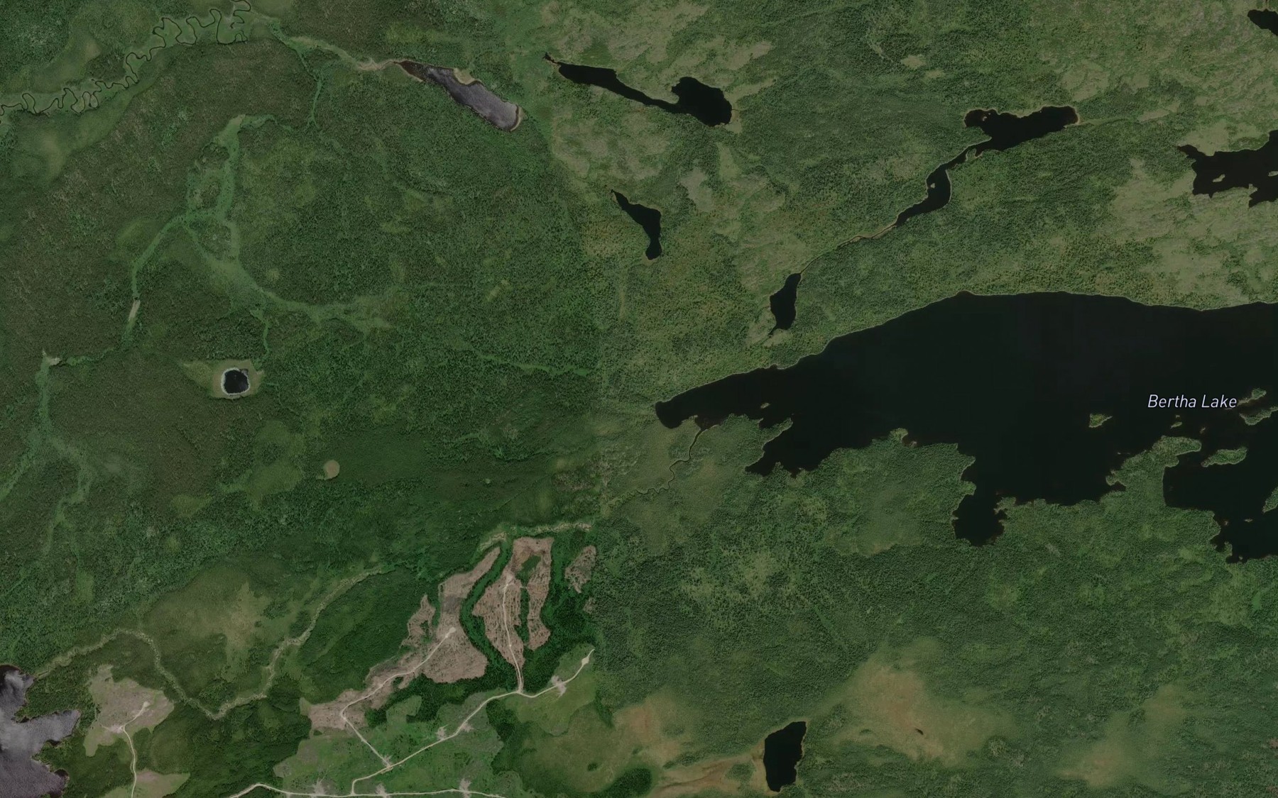 Satellite map of the McNaughton Creek