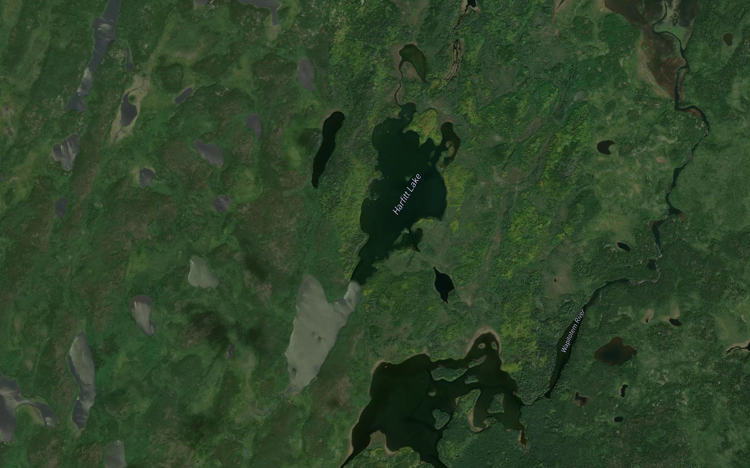 Harfitt Lake