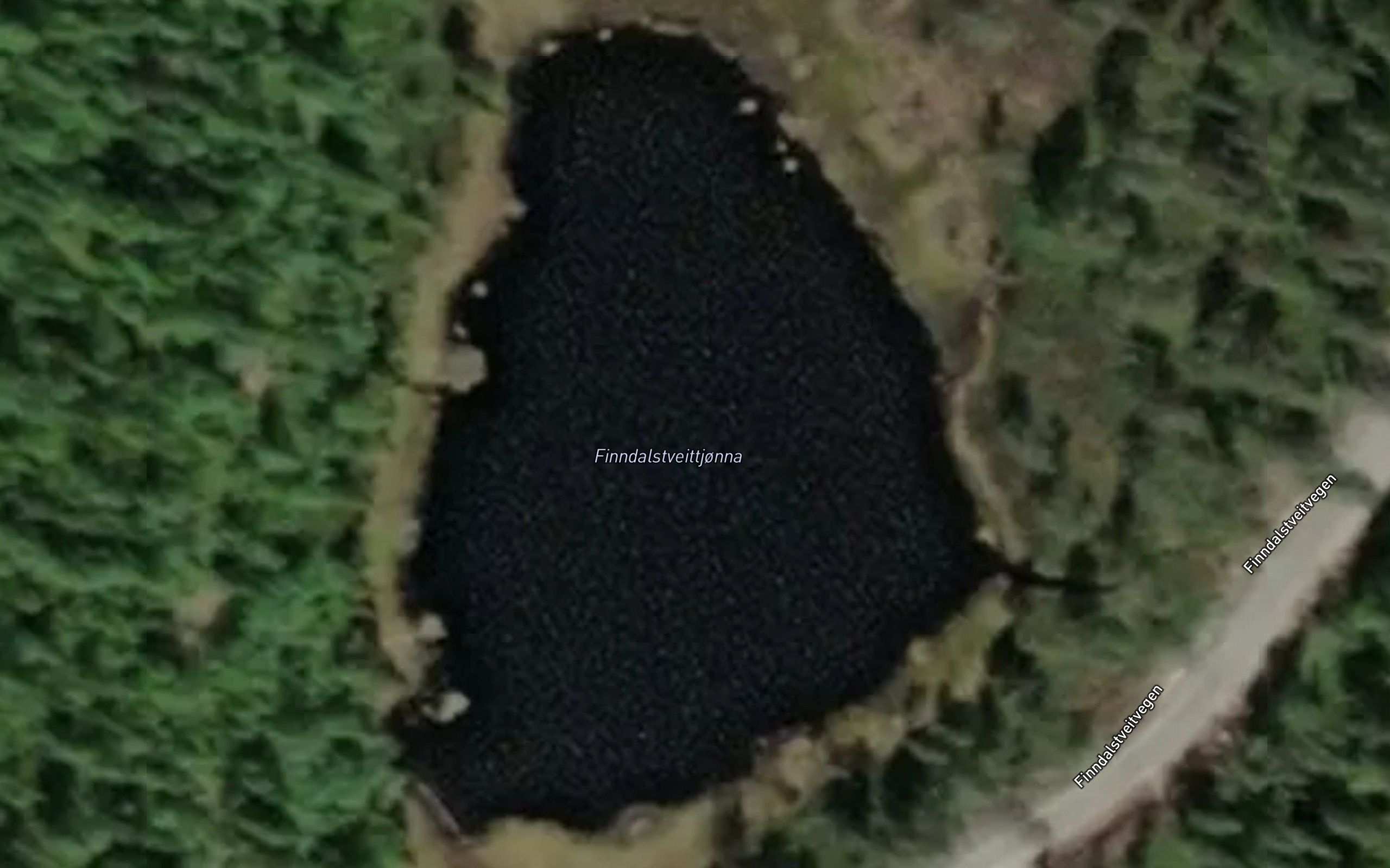 Finndalstveittjonna