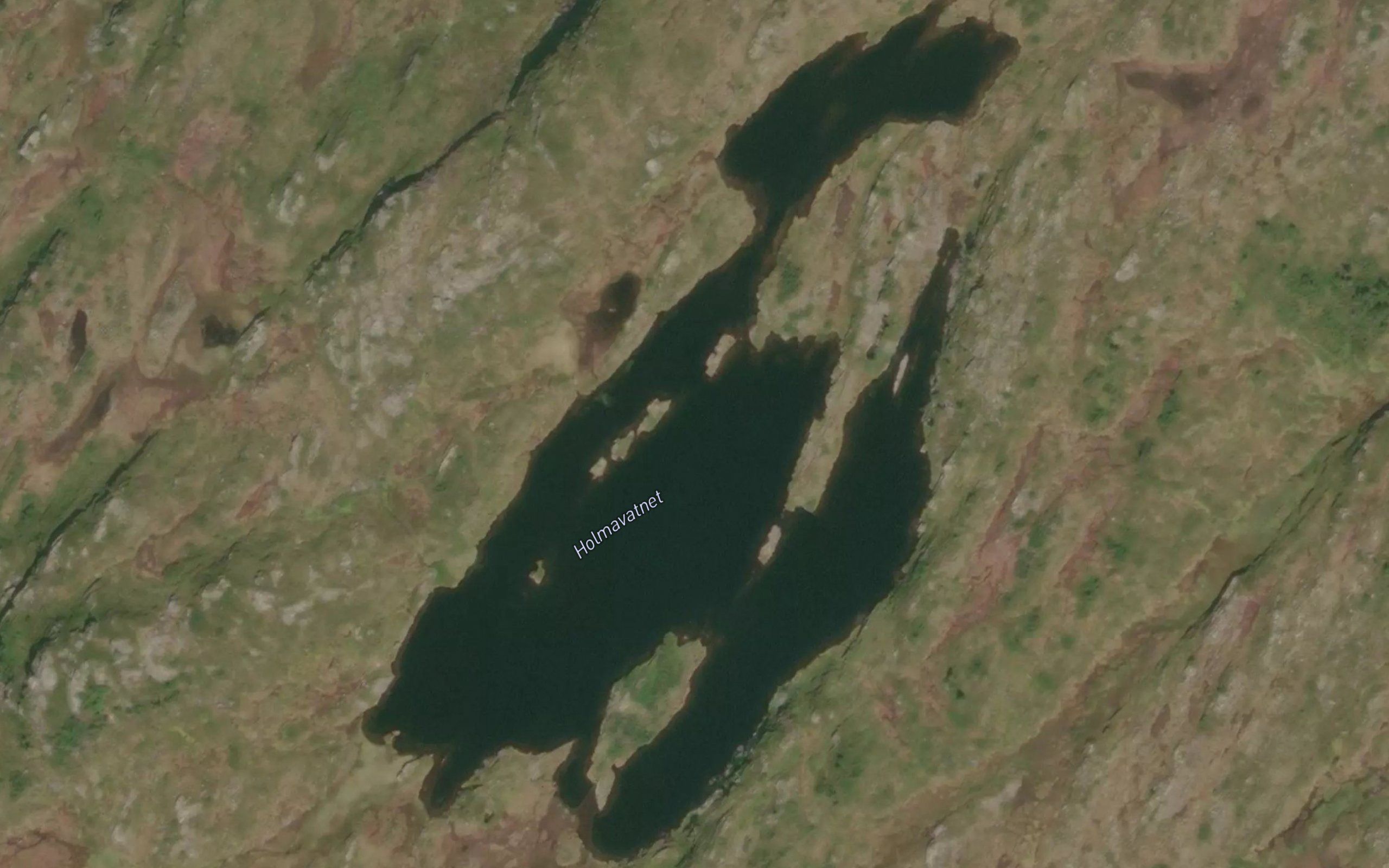 Holmavatnet