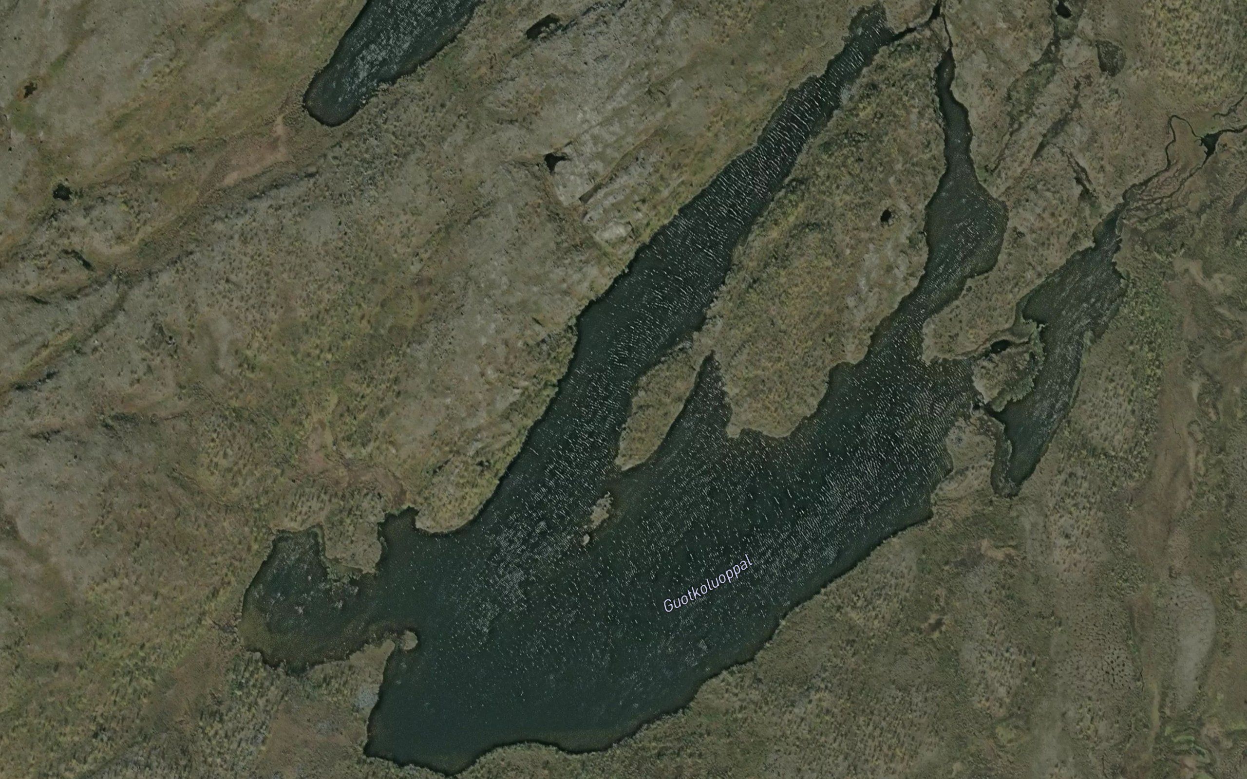 Guotkuluobbal
