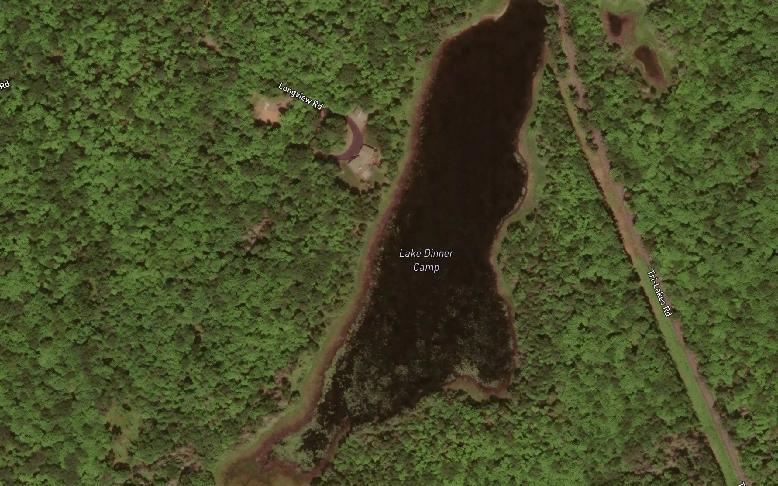 Lake Dinner Camp