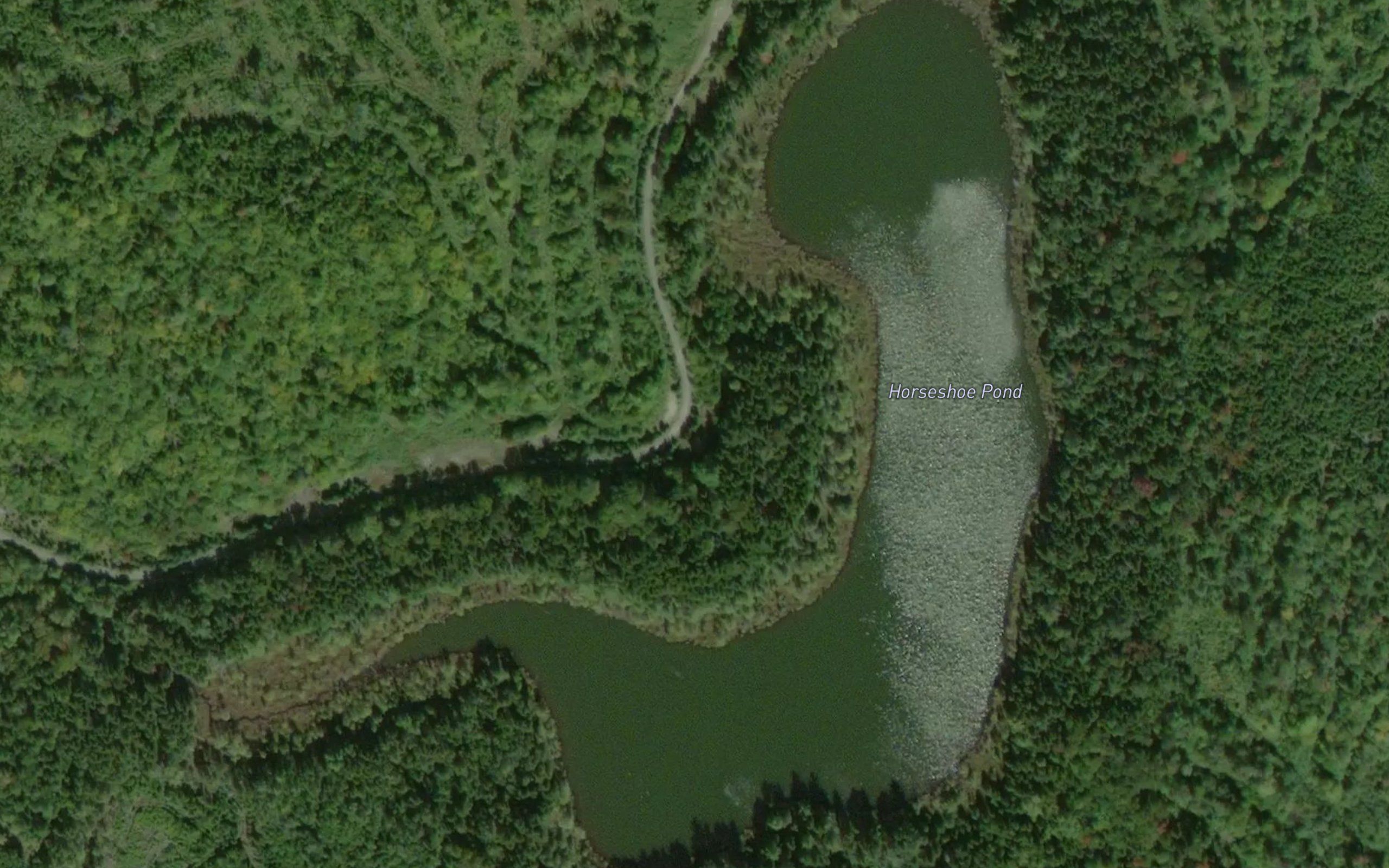 Horseshoe Pond