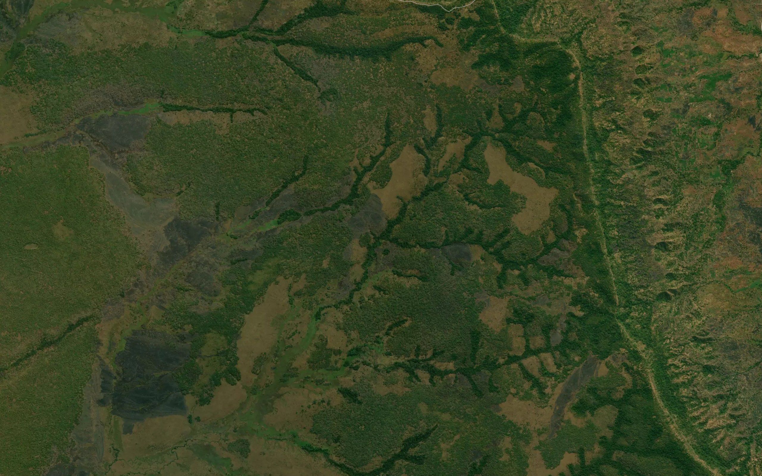 Cachiriri