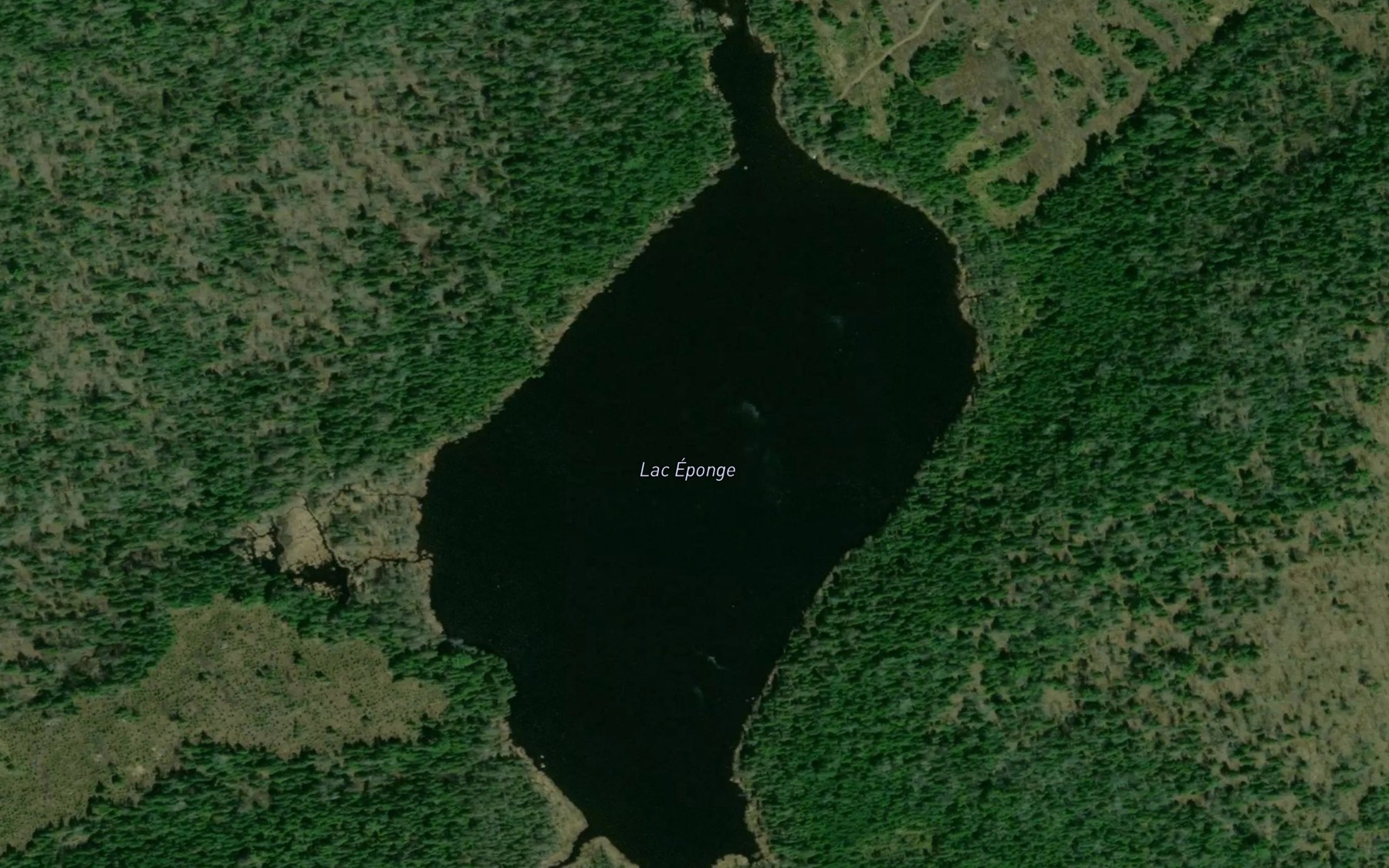 Satellite map of the Lac Eponge