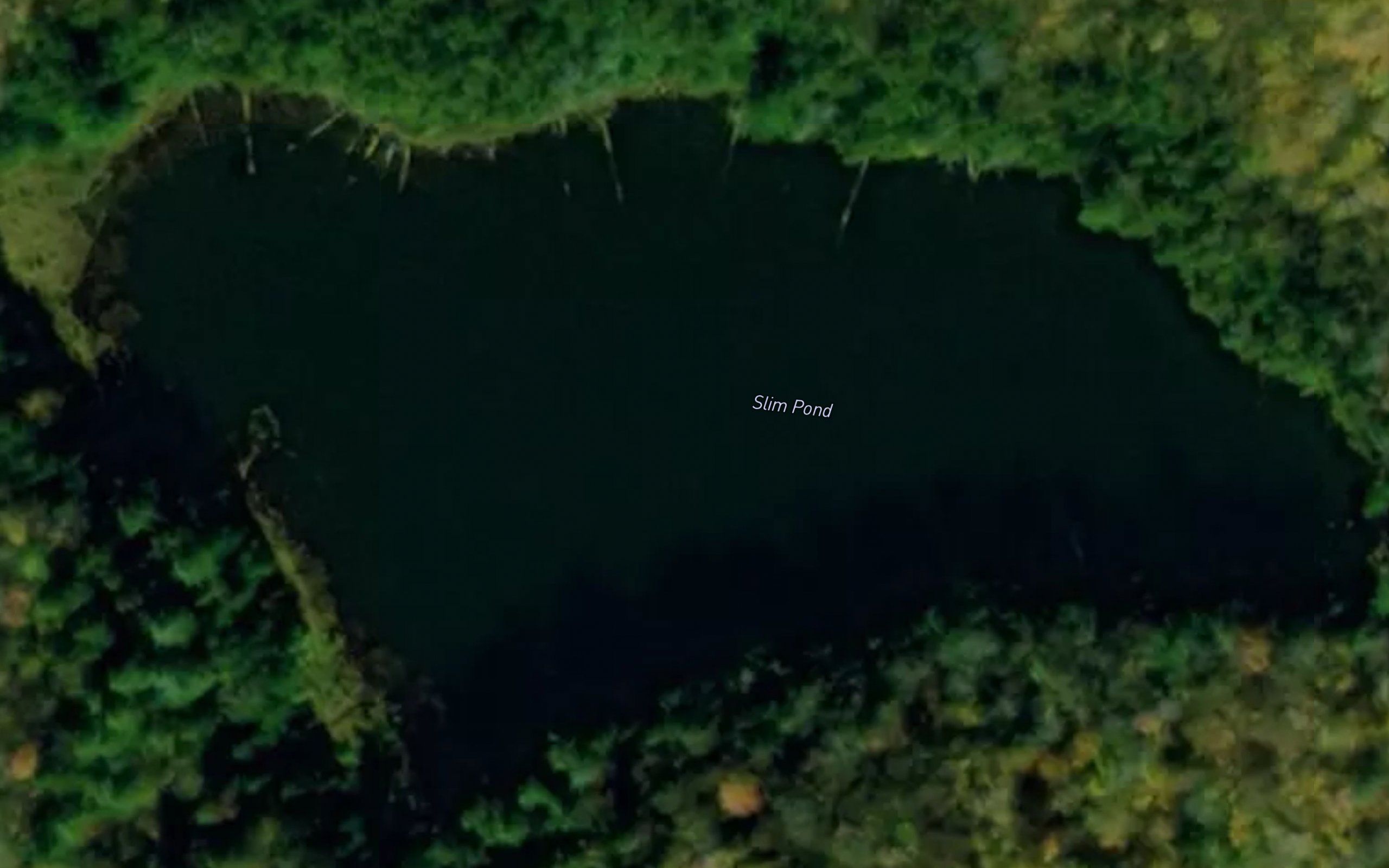 Slim Pond