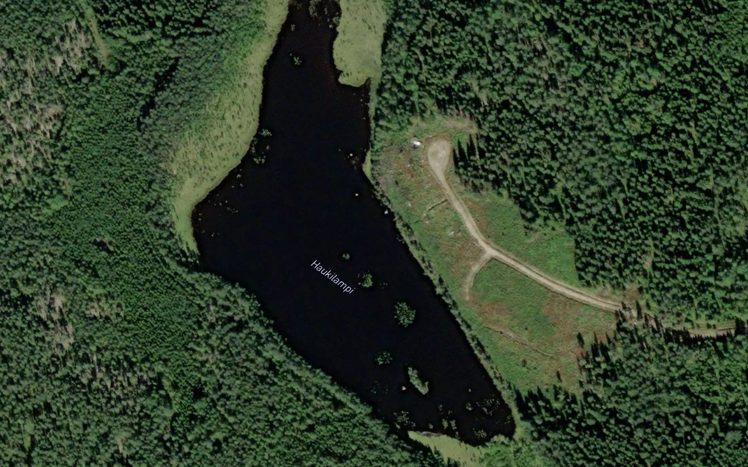 Haukilampi