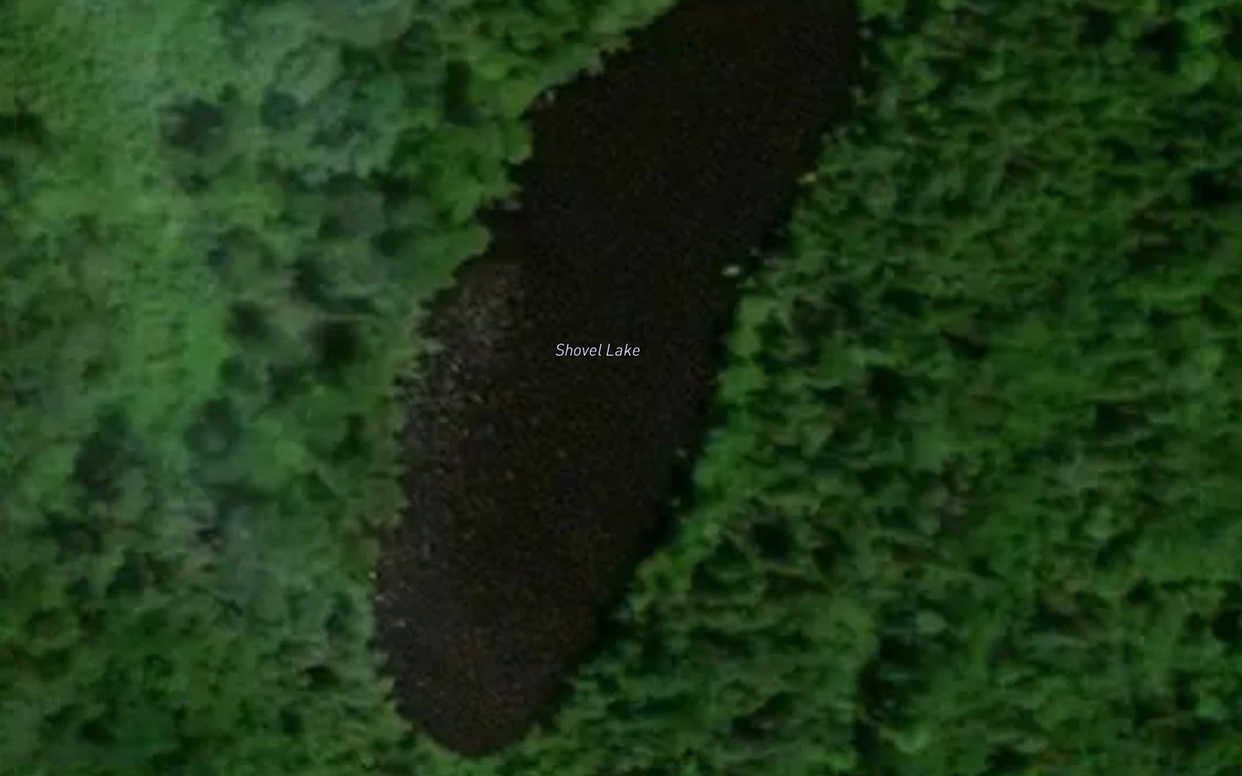 Shovel Lake