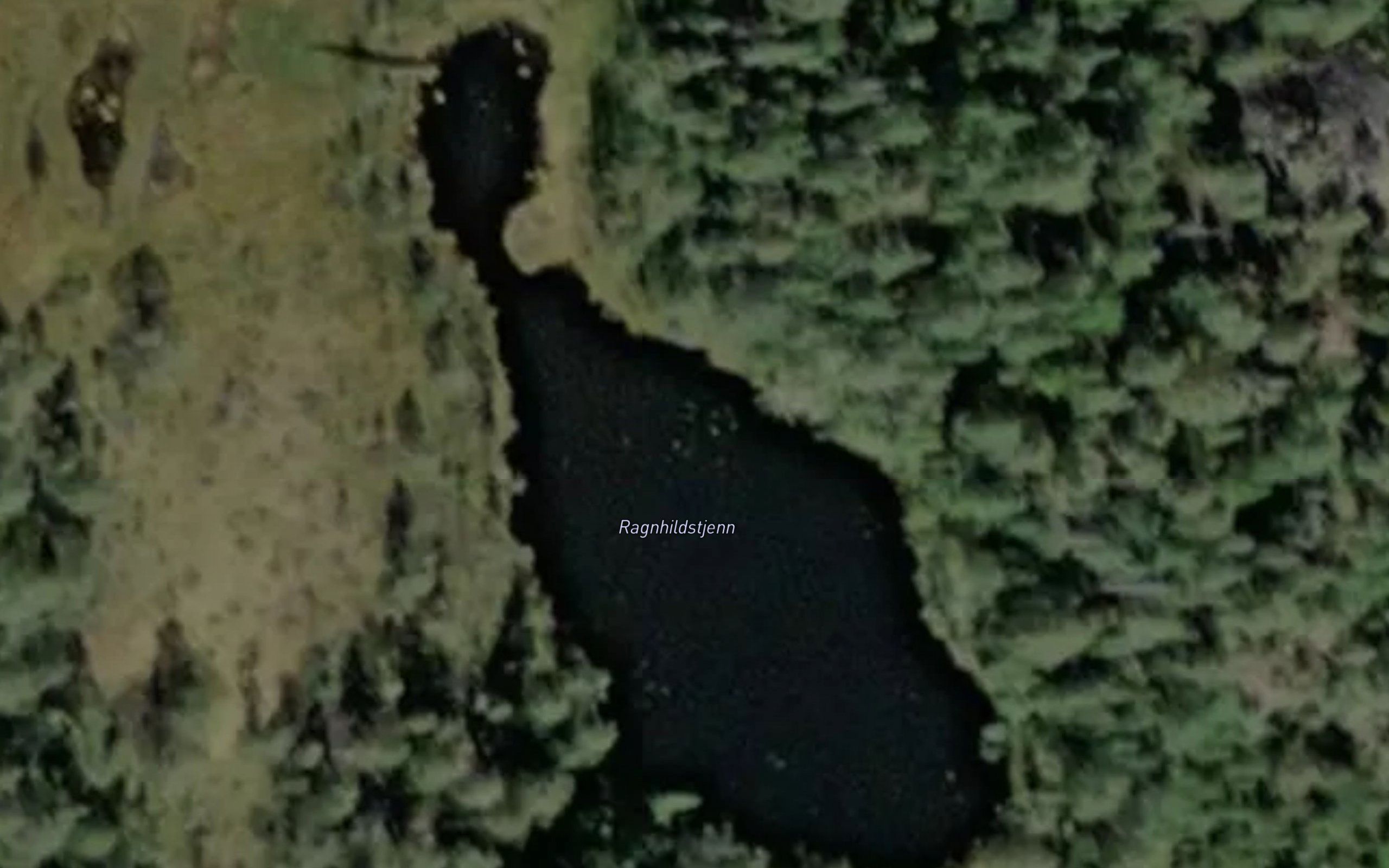 Ragnhildstjenn