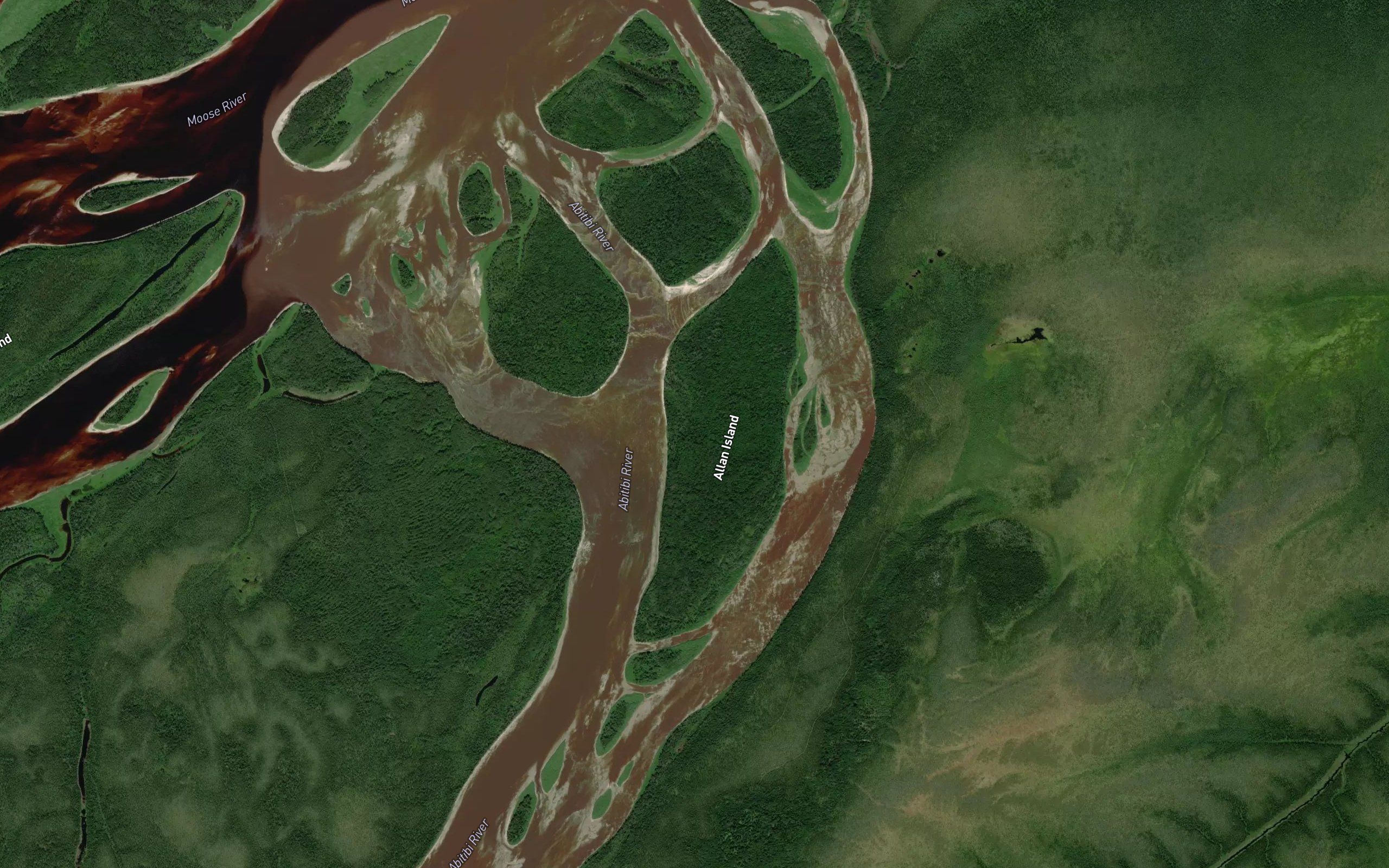 Allan Rapids
