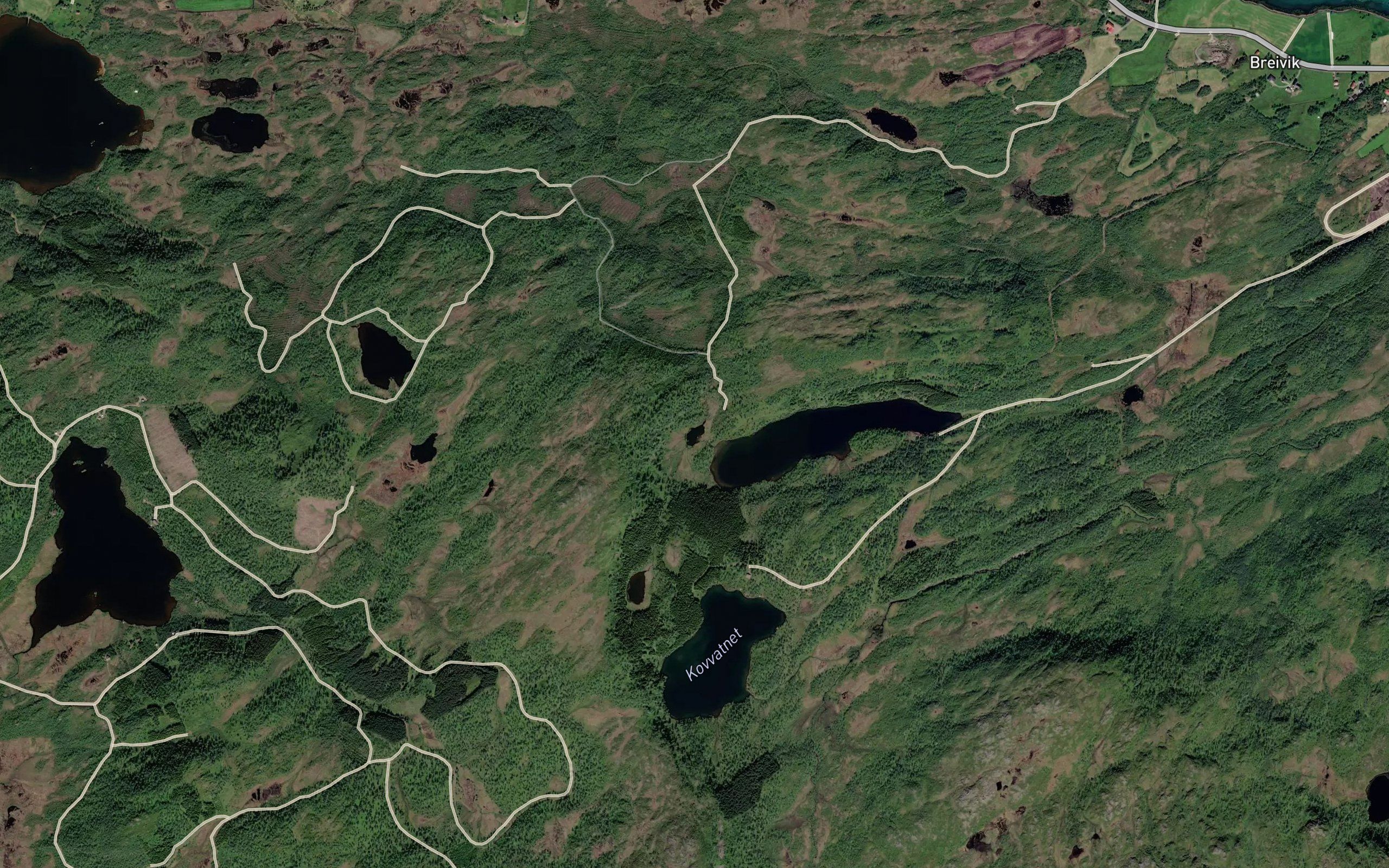 Rodlitjonna