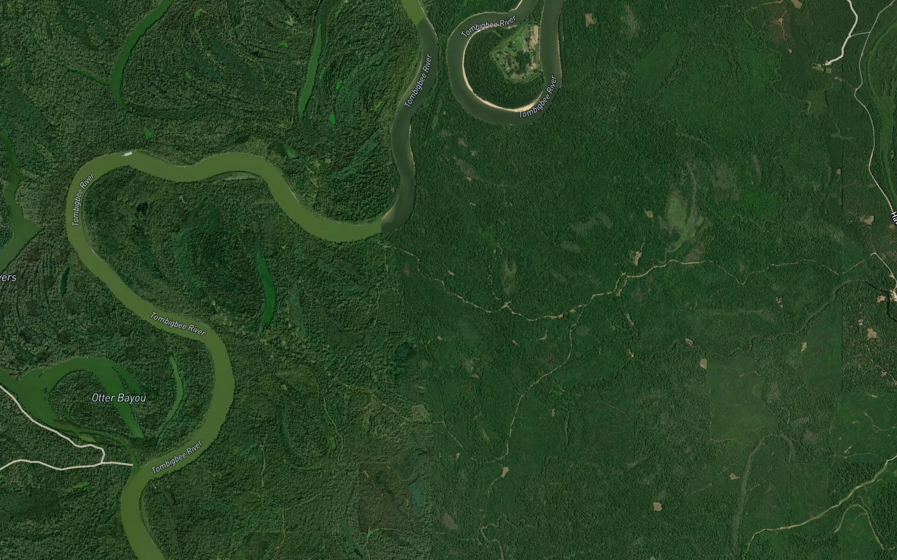 Satellite map of the Middle Gut
