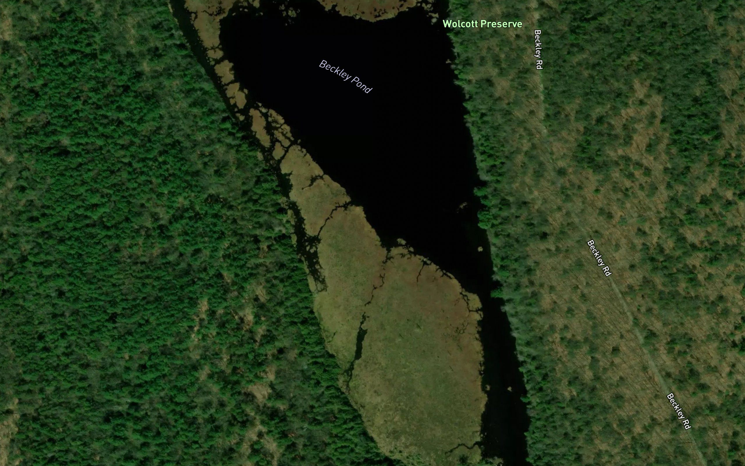 Beckley Pond