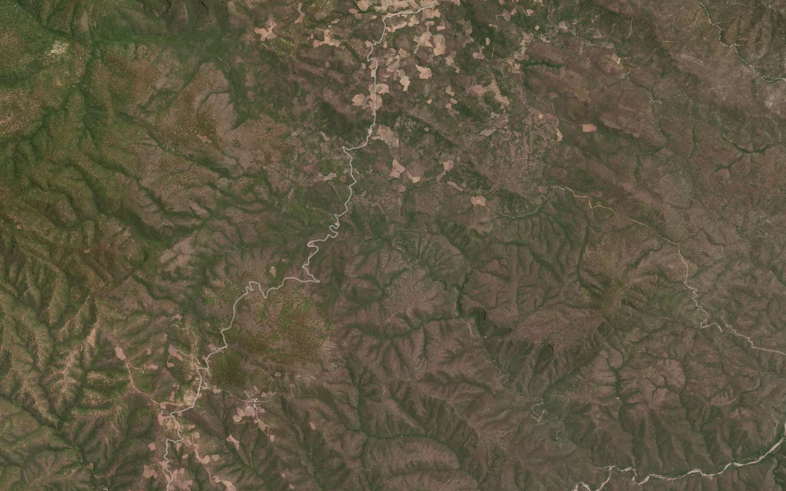 Chacagua
