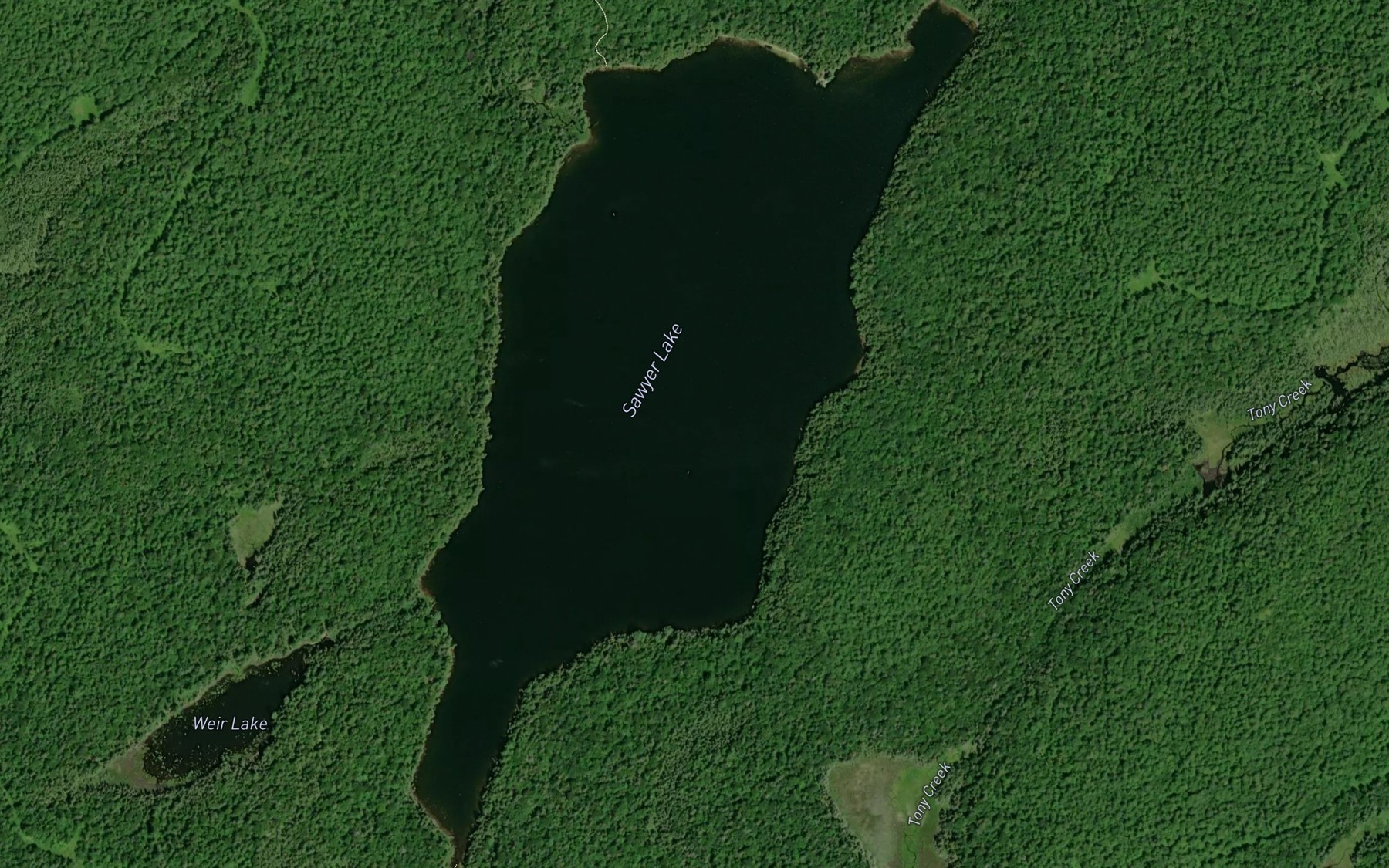 Satellite map of the Sawyer Lake