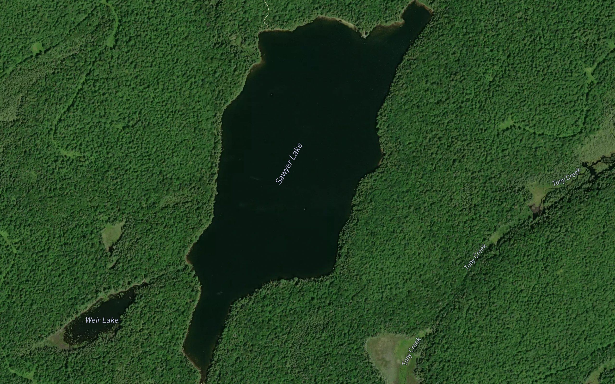 Sawyer Lake