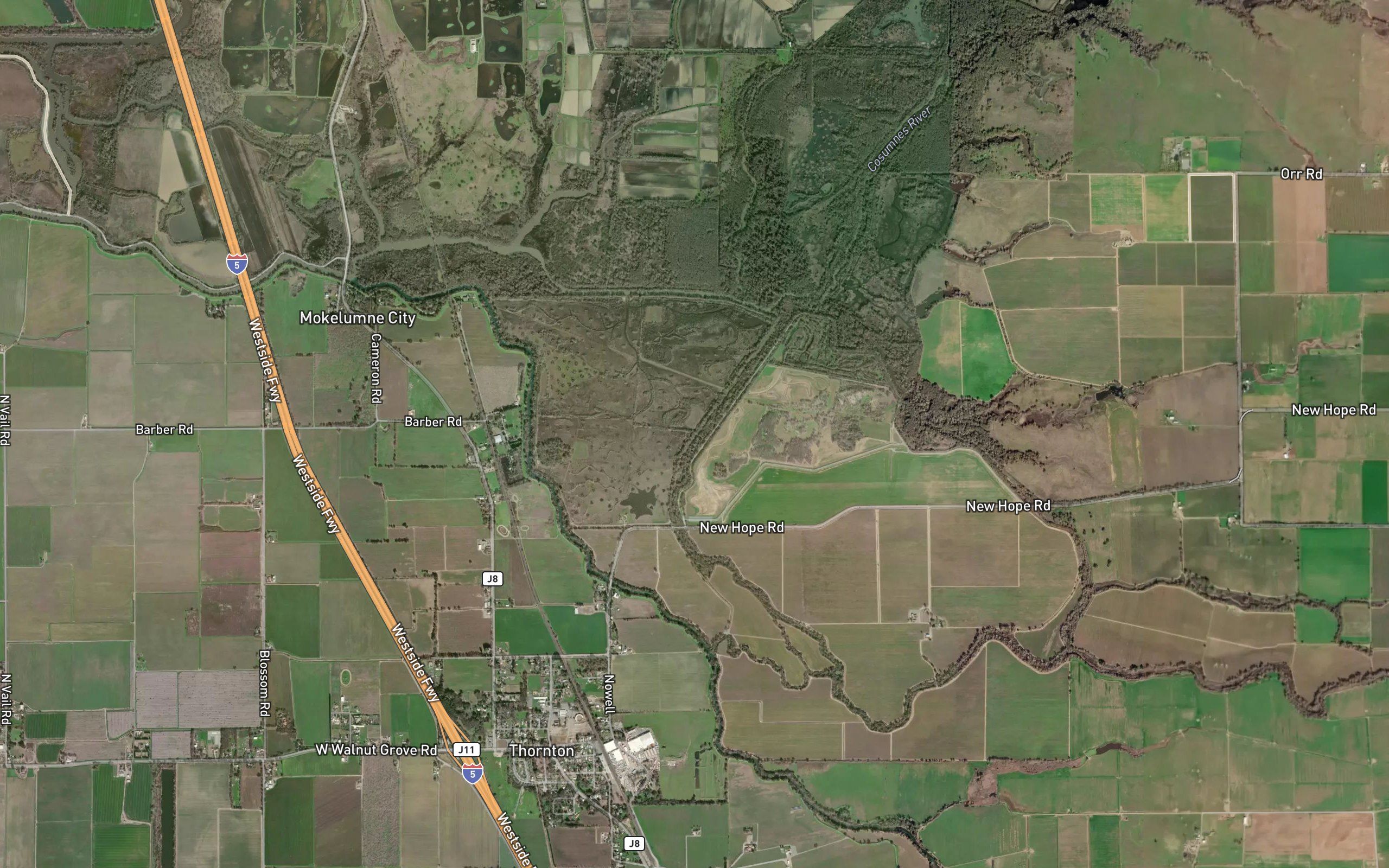 Grizzly Slough