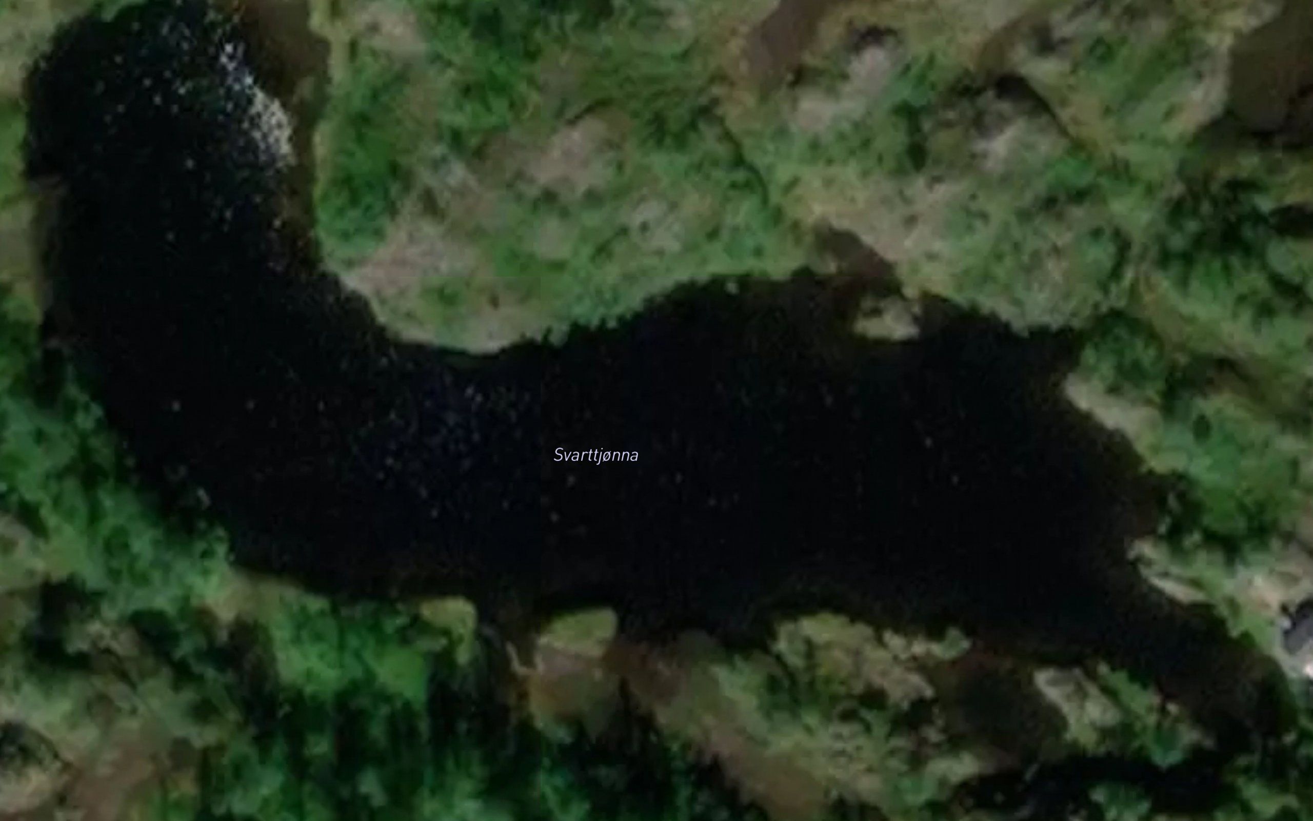 Svarttjonna