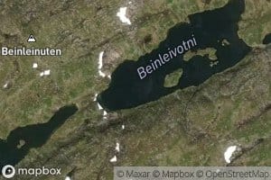Beinleivotni
