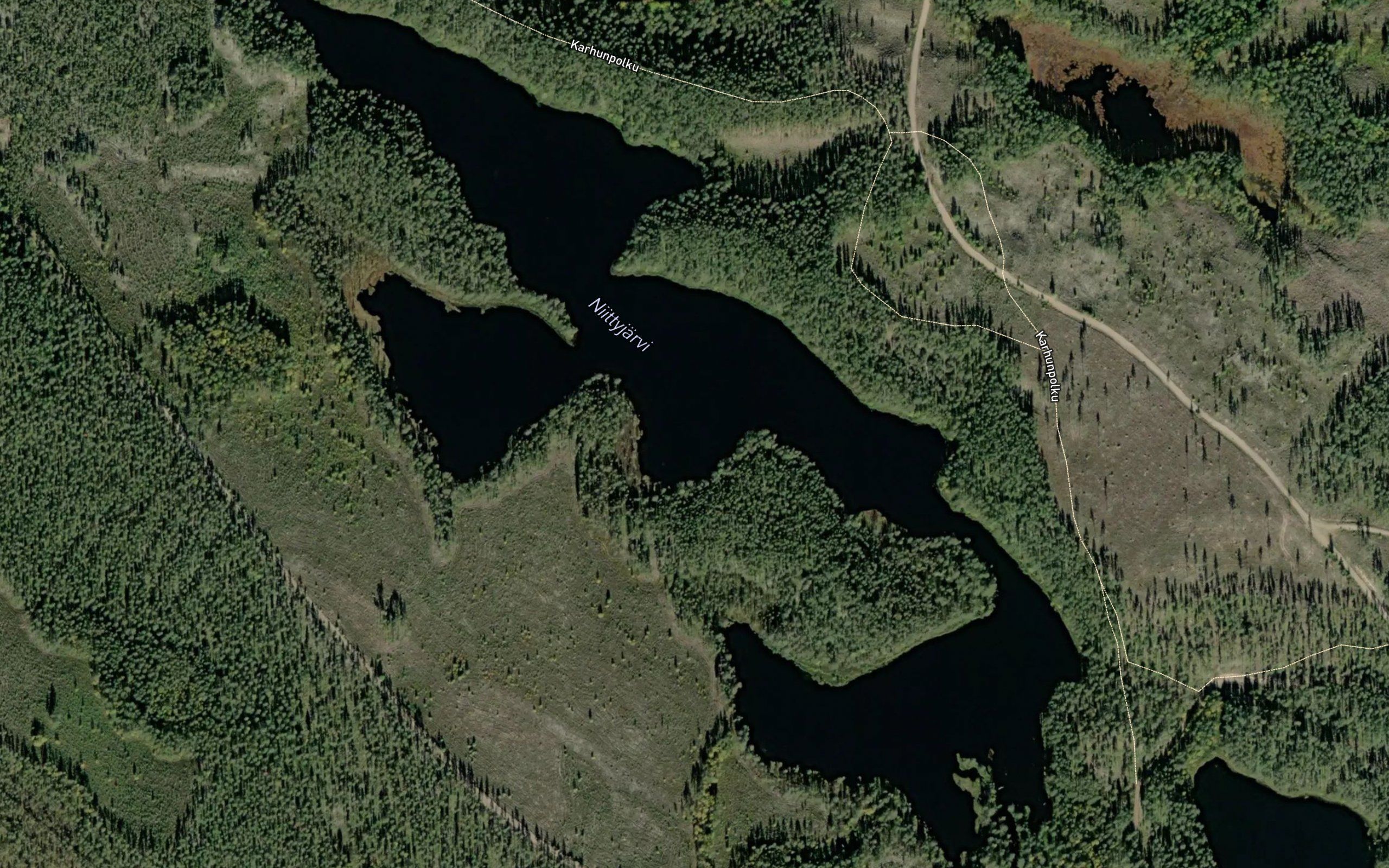 Niittyjarvi