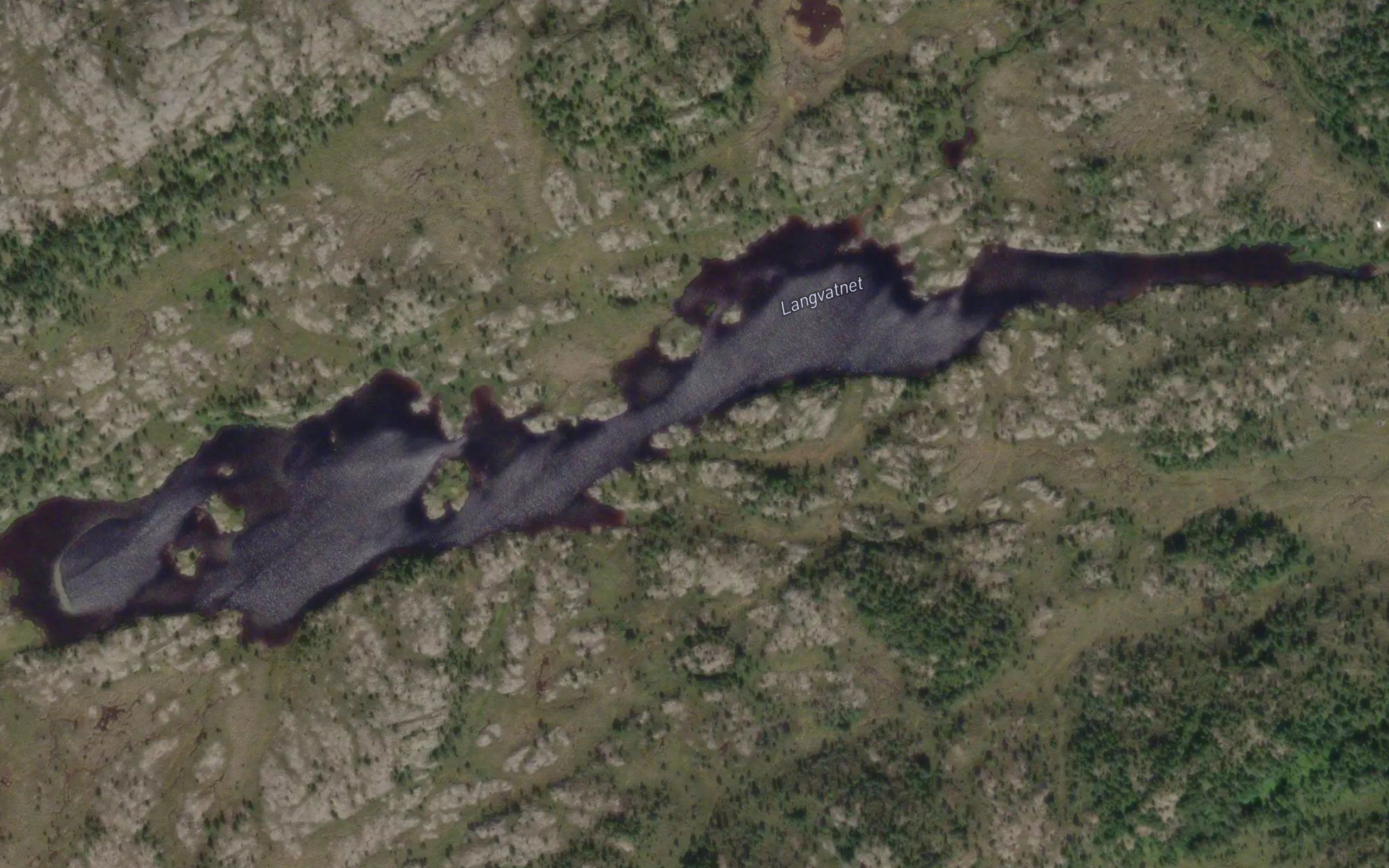 Langvatnet