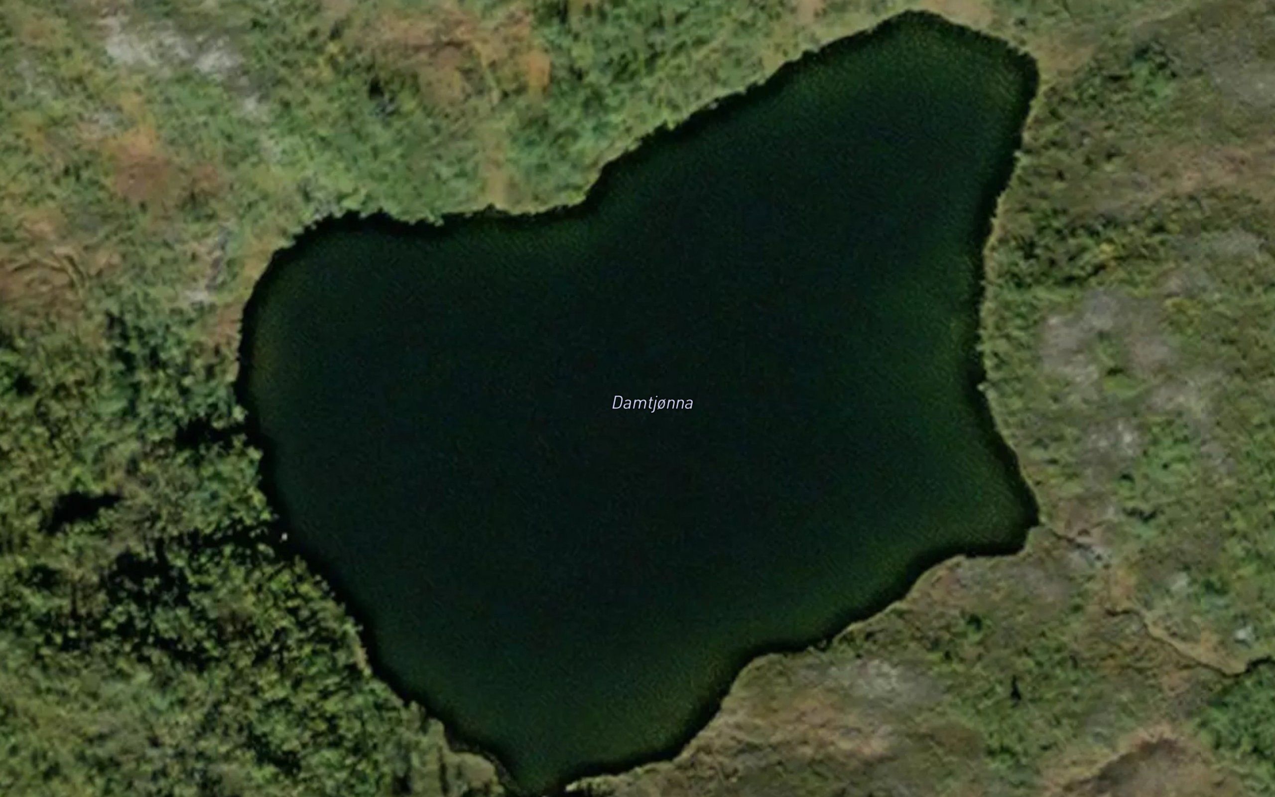 Damtjonna