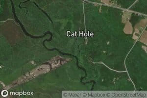 Cattle Creek