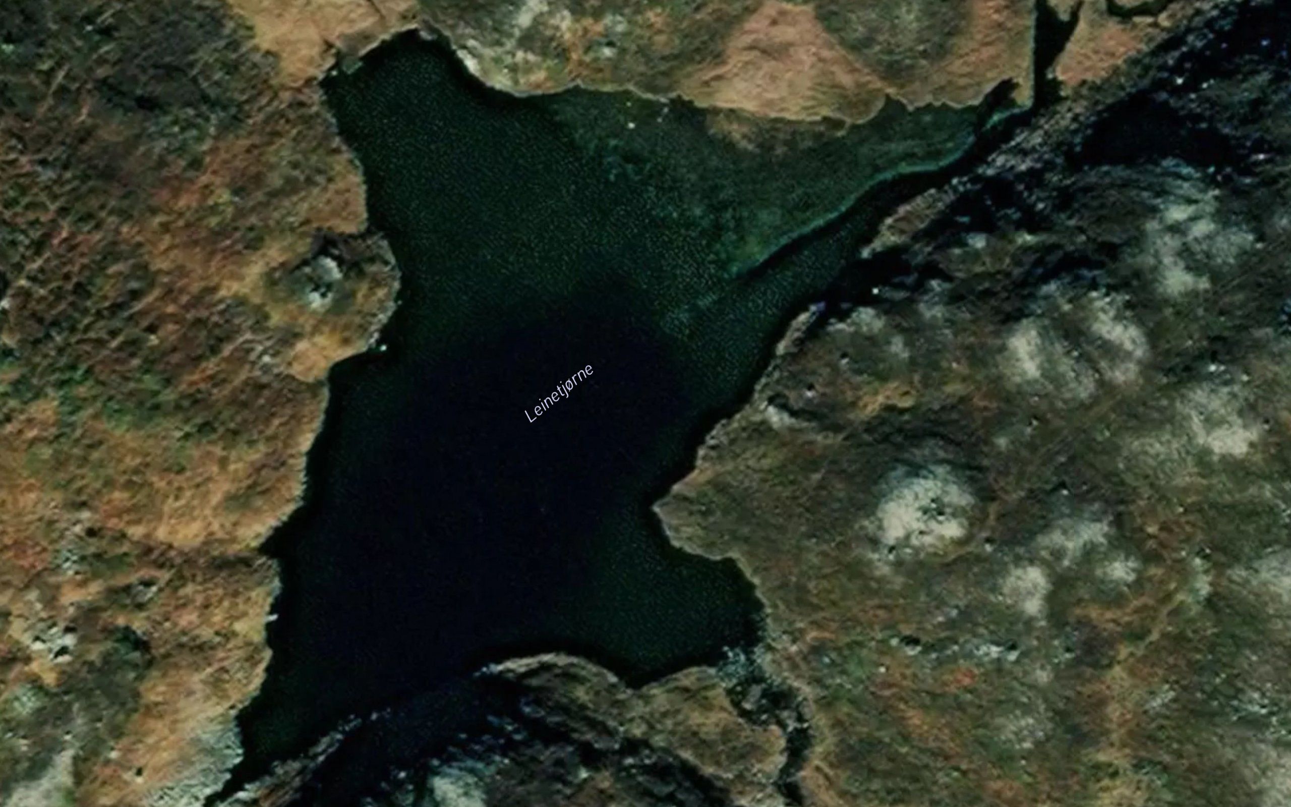 Leinetjorne