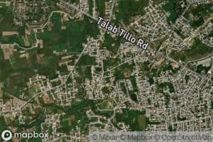 Distributary Number Seven A