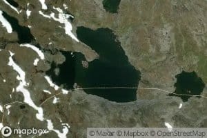 Malnestjernet