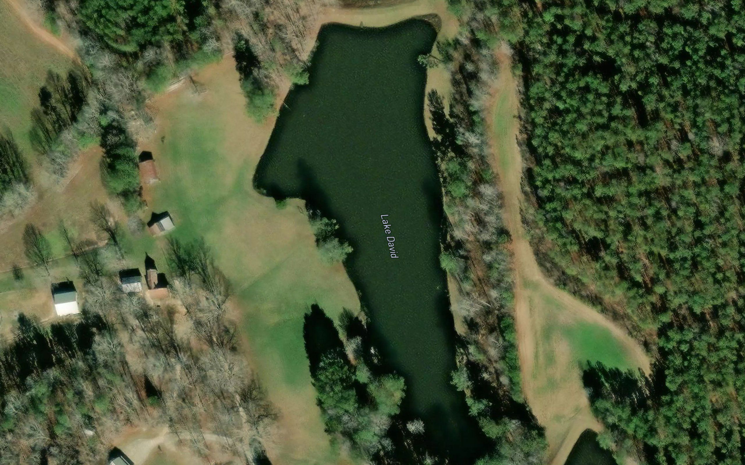 Lake David