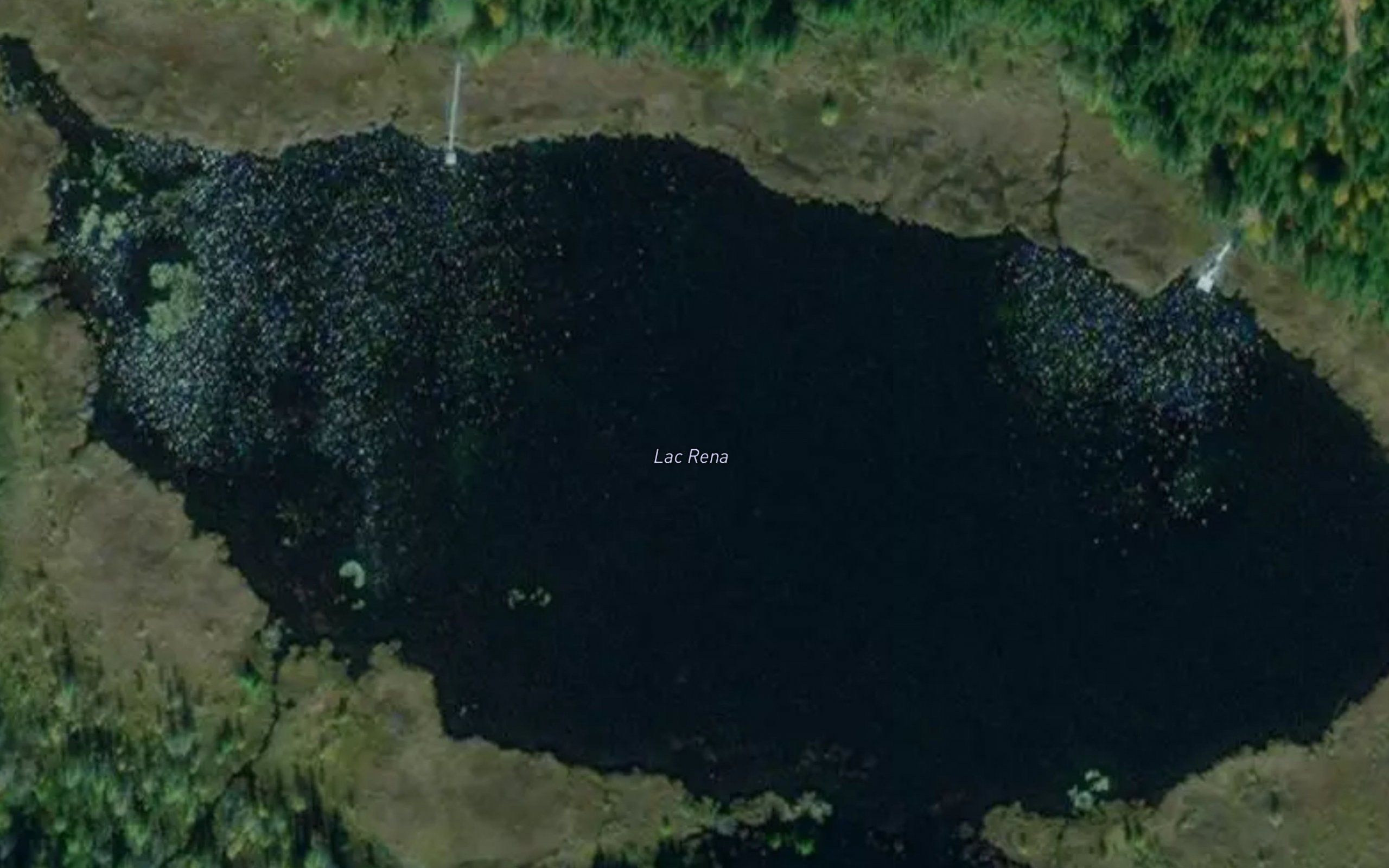 Lac Rena