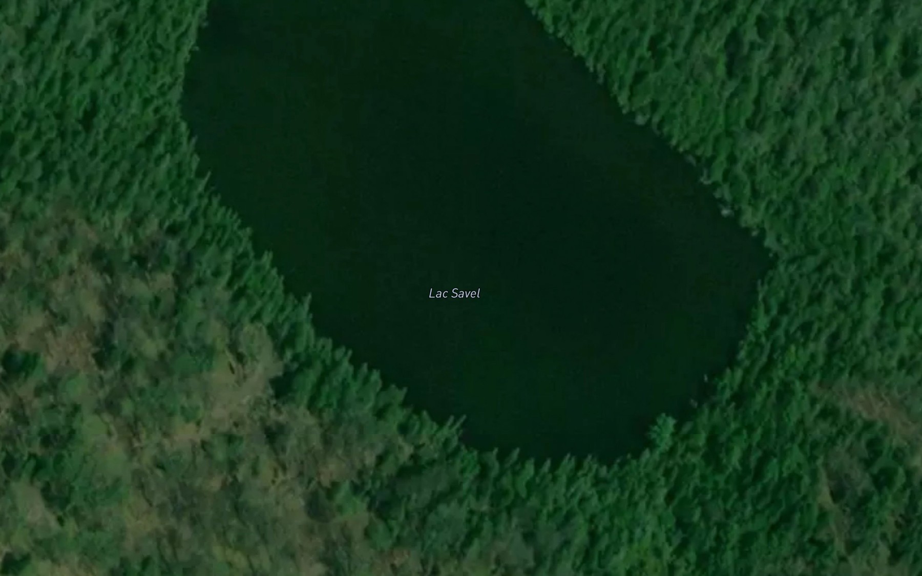 Satellite map of the Lac Savel