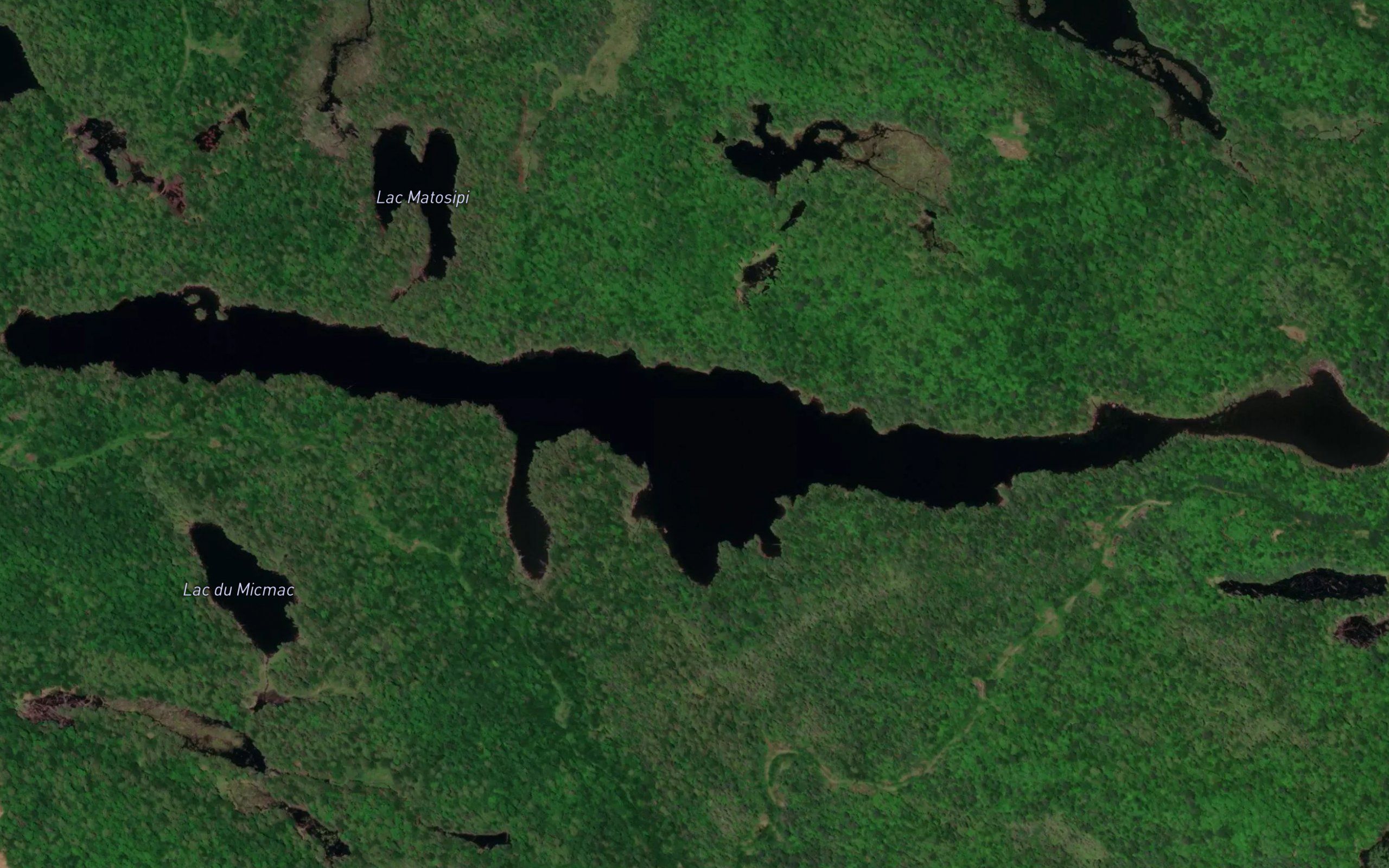 Lac du Rat Musque