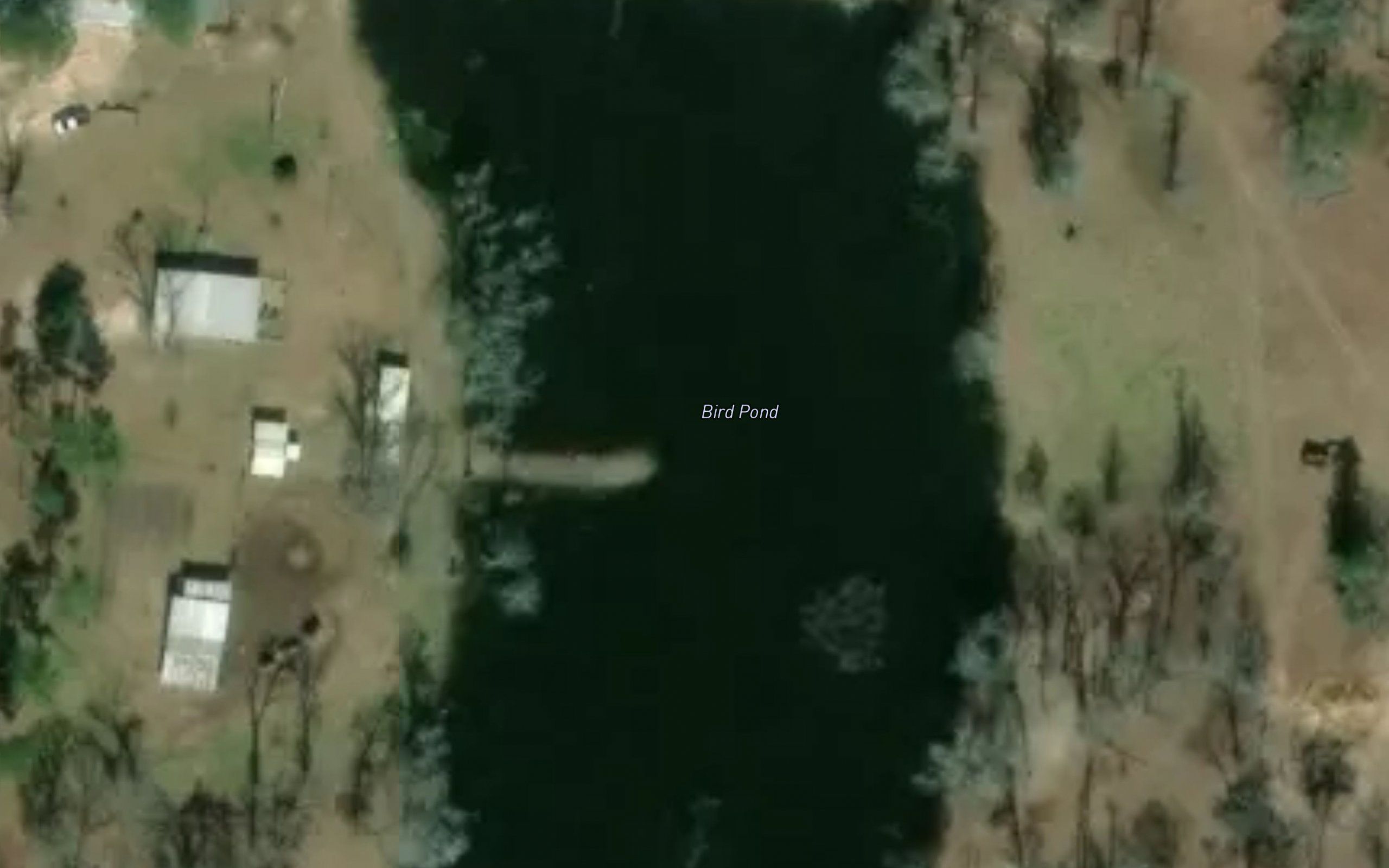 Bird Pond