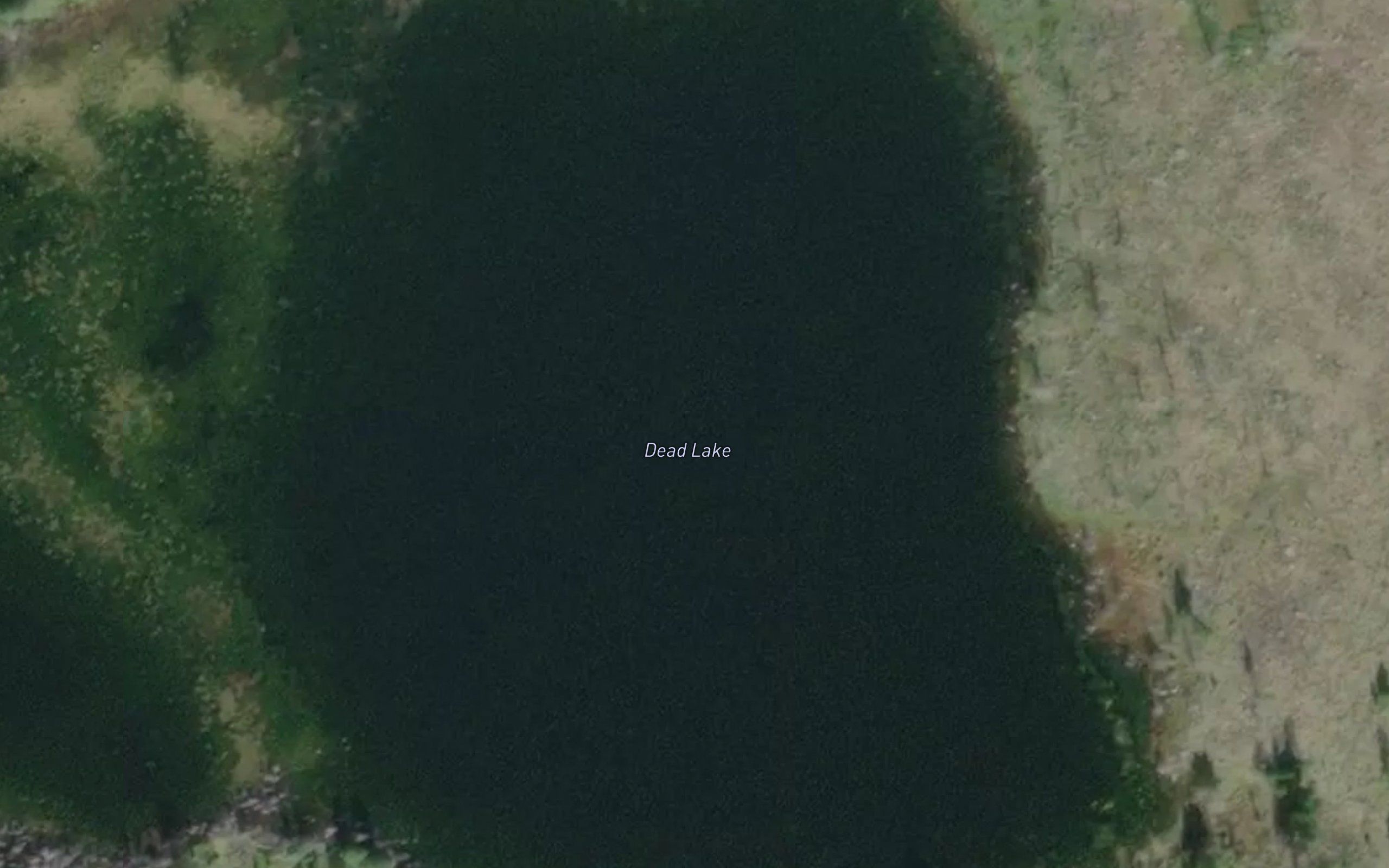 Dead Lake