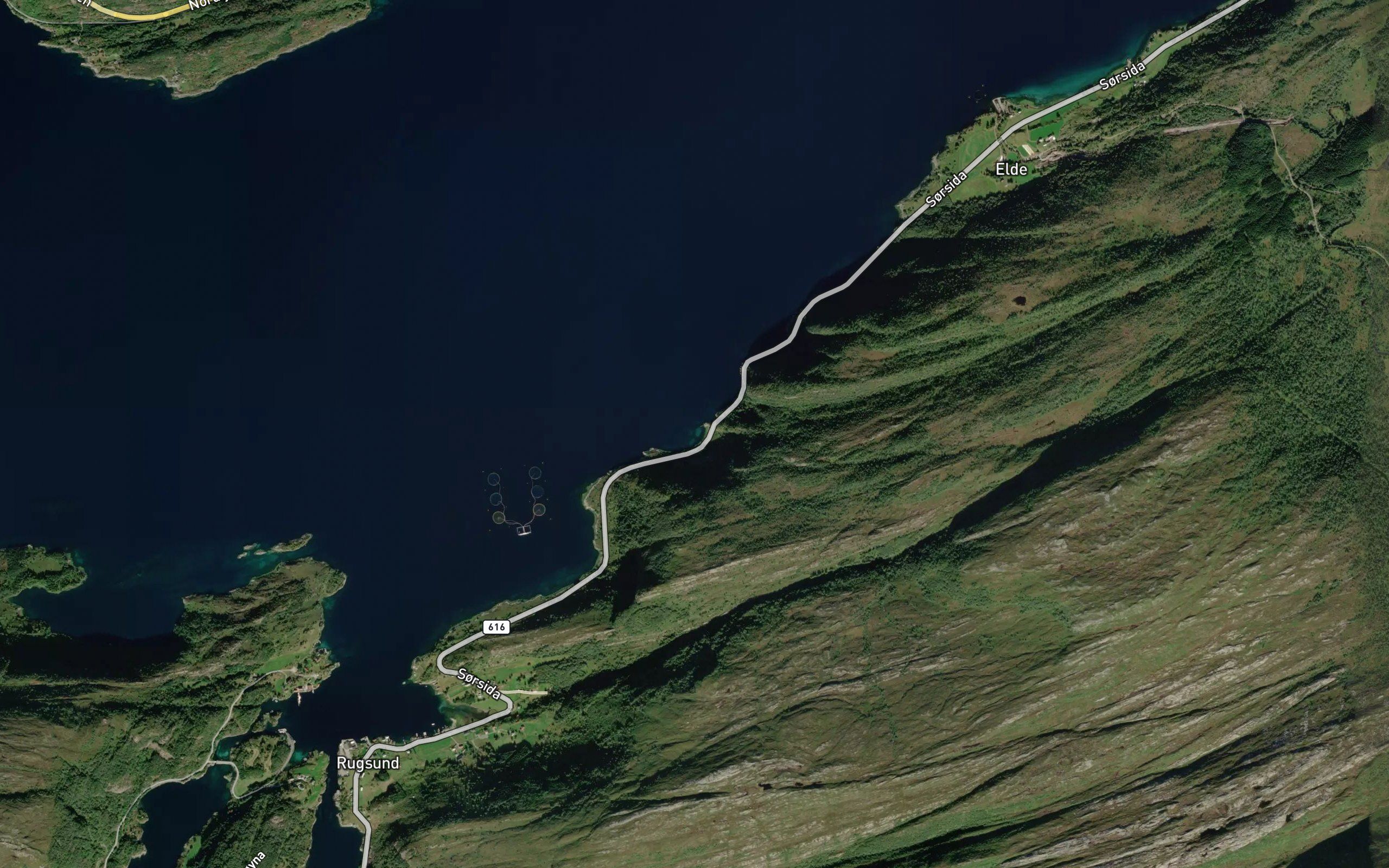 Snekkevika