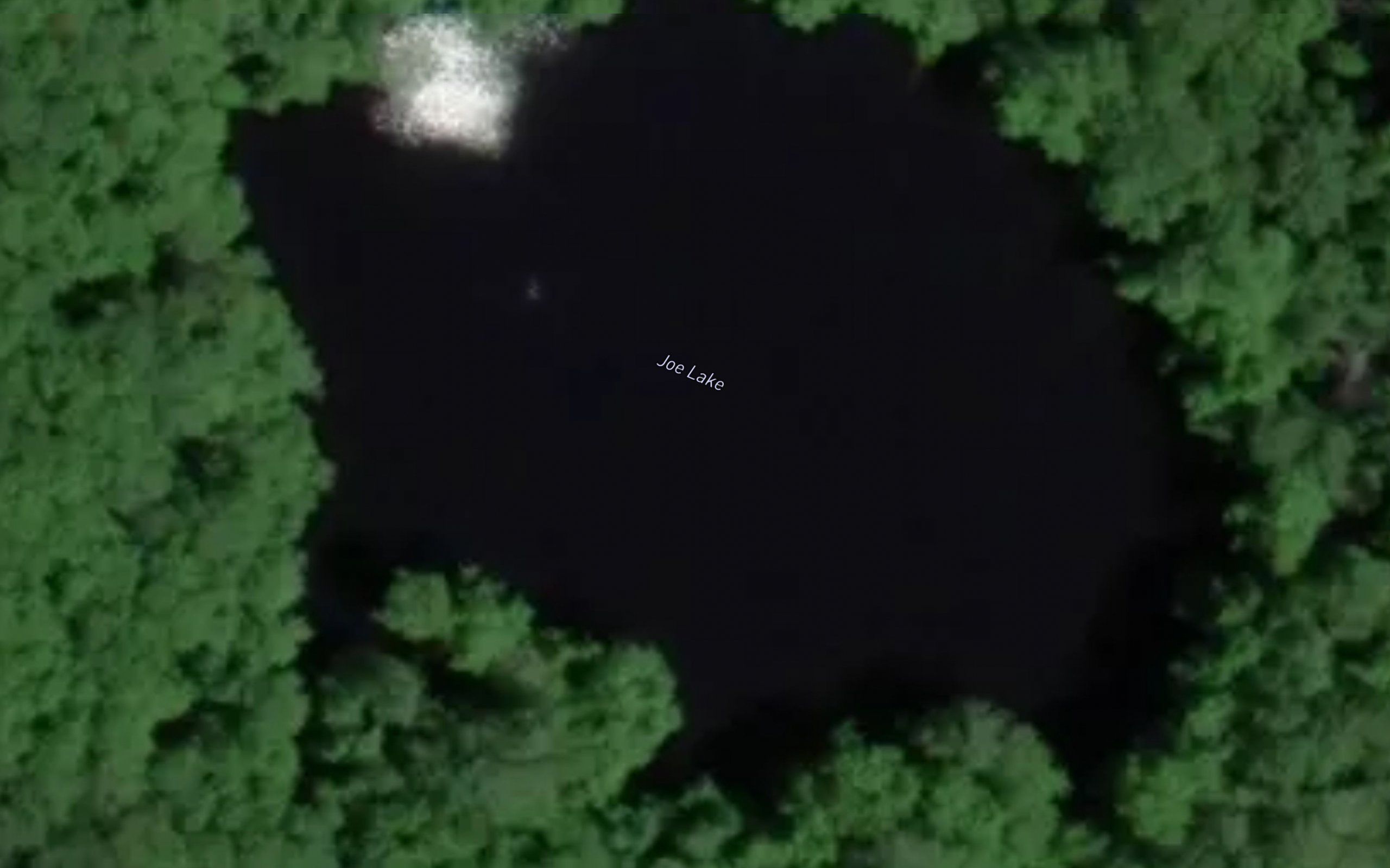 Joe Lake