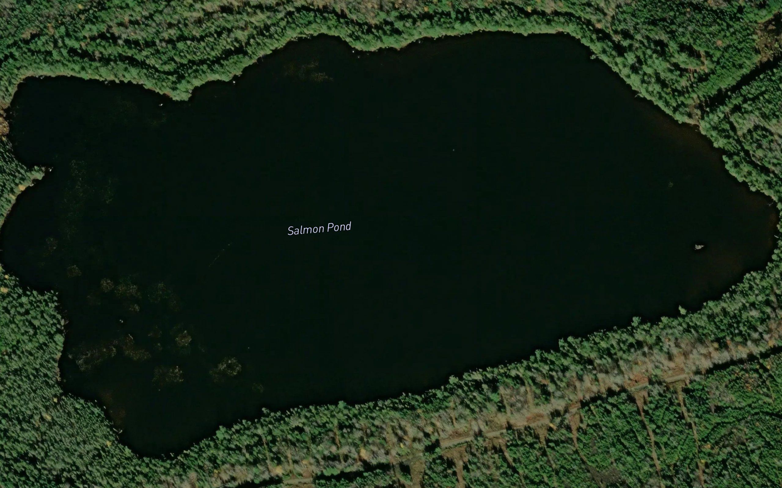 Salmon Pond