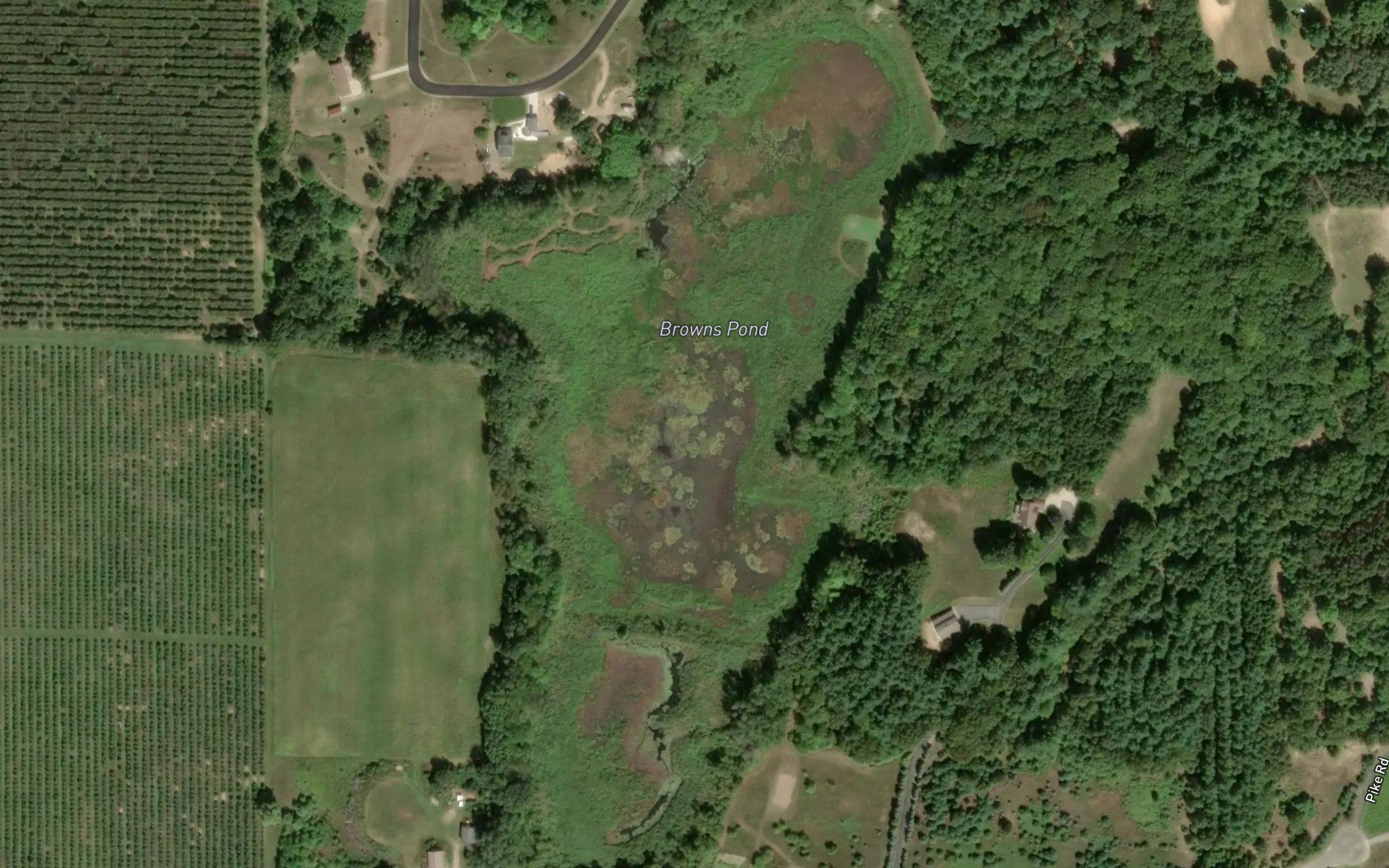Browns Pond