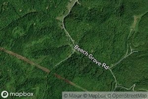 Mason Branch