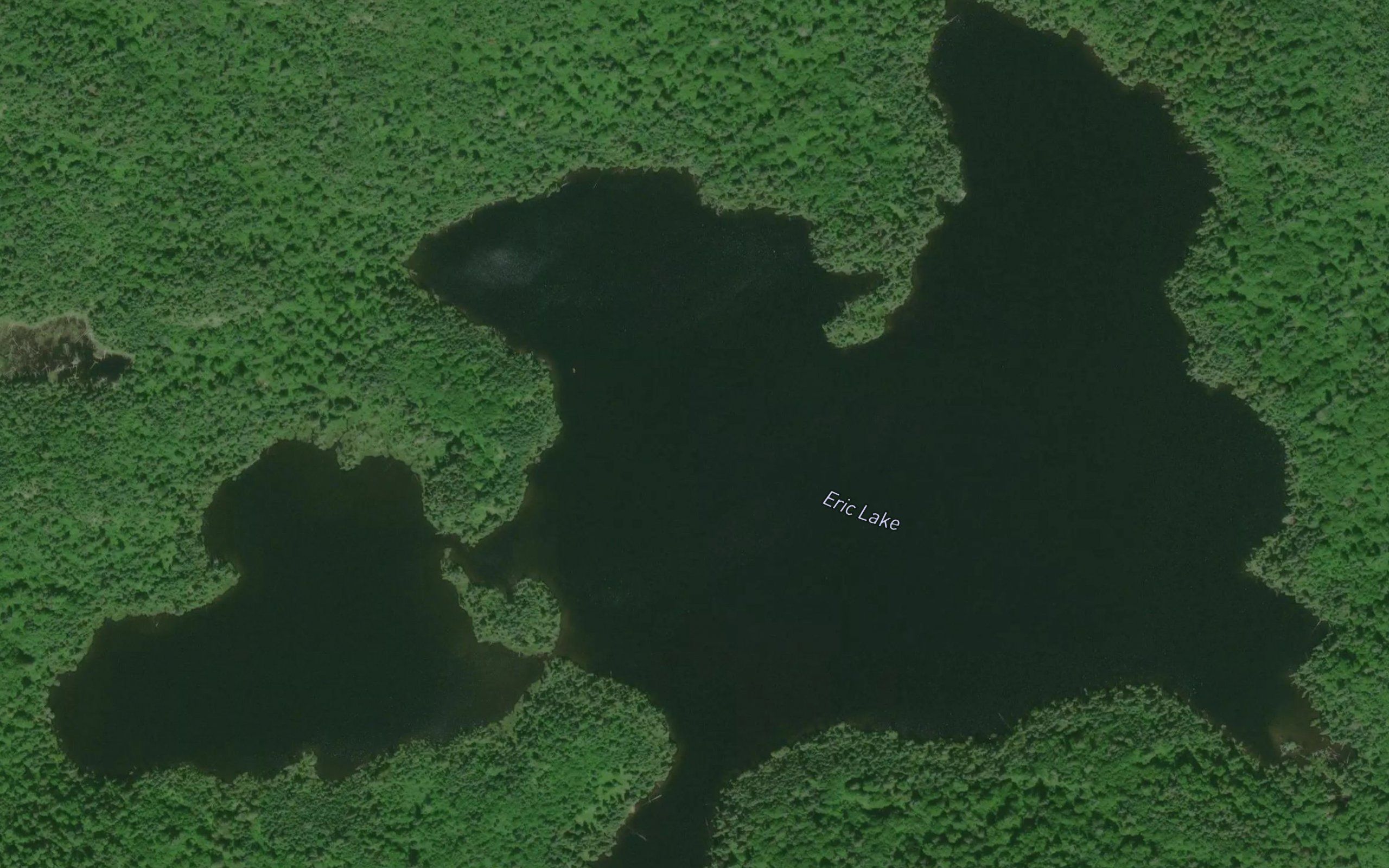 Eric Lake