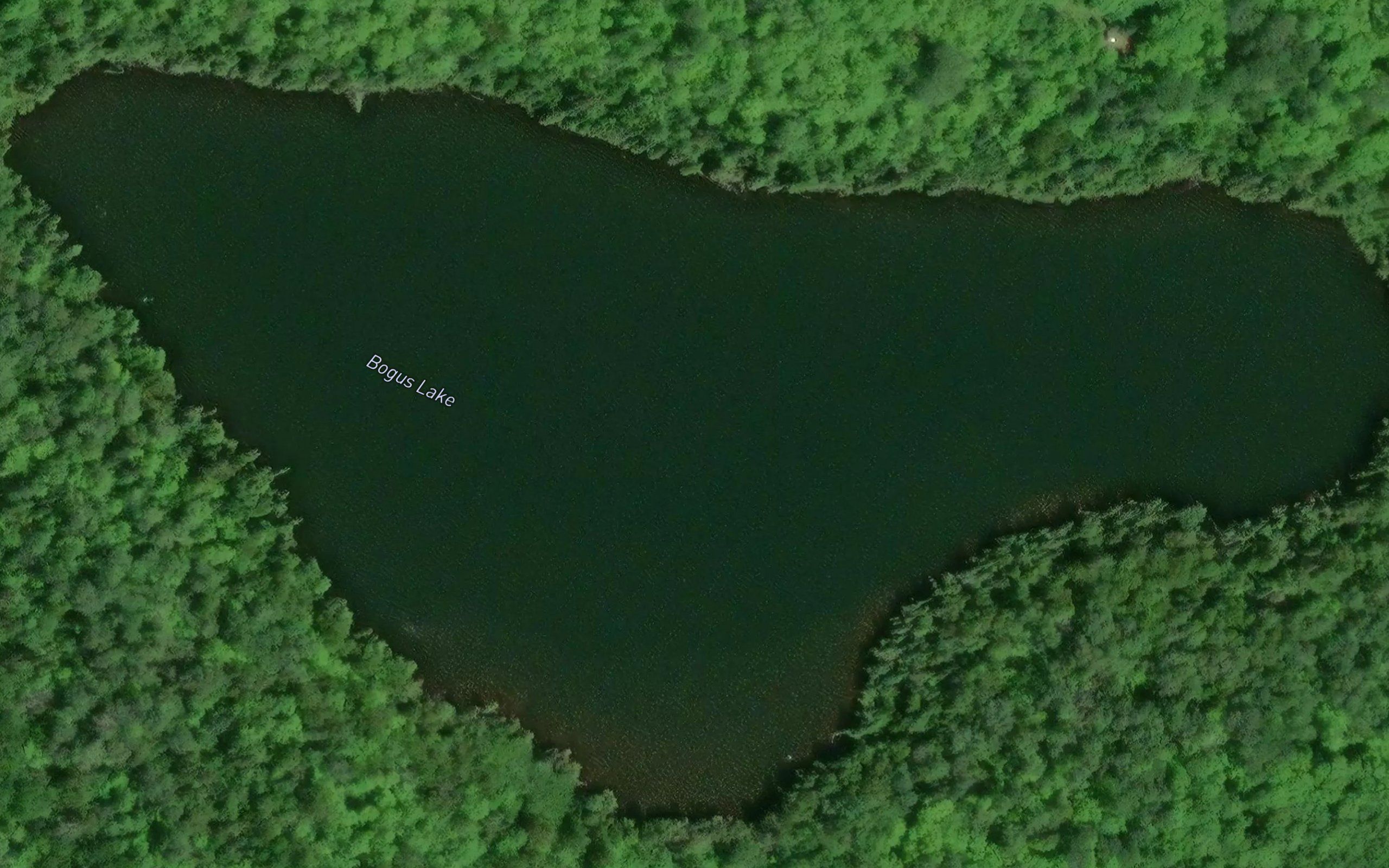 Bogus Lake