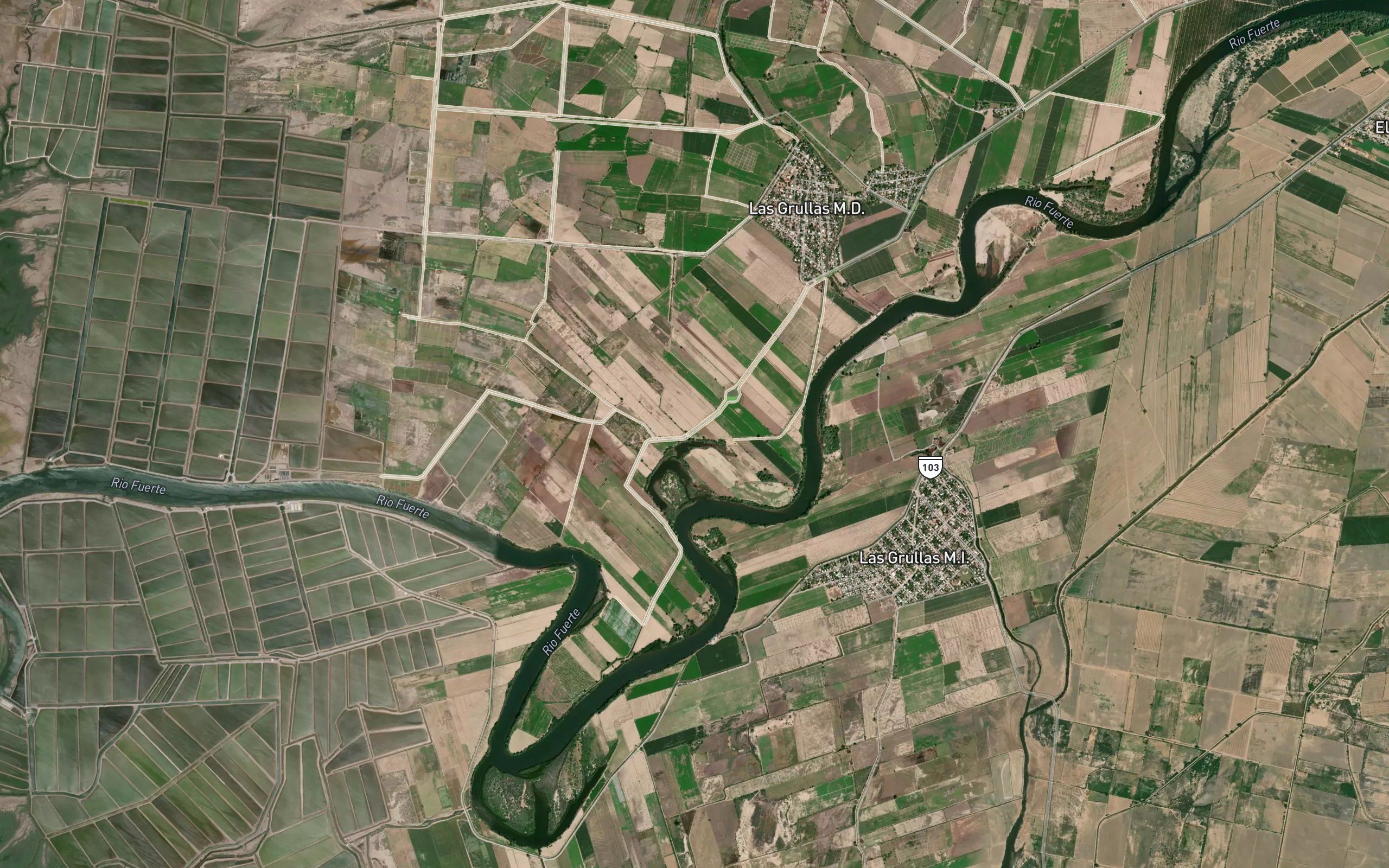 Zaragoza