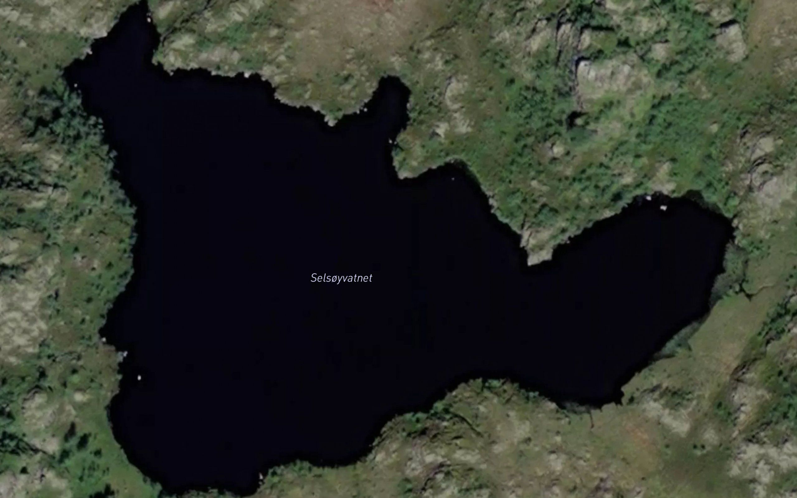 Selsoyvatnet